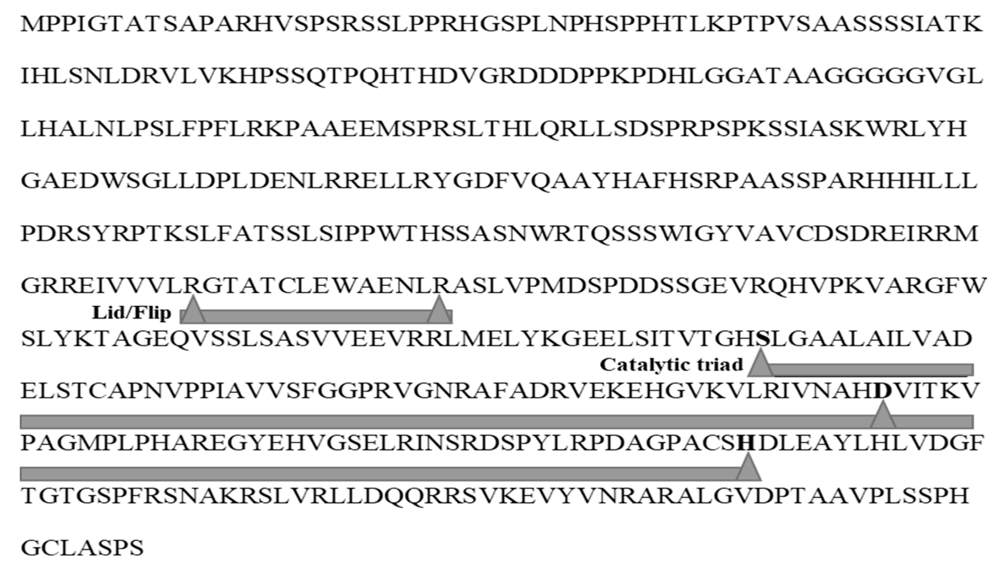 Catalysts 11 00244 g001 Catalysts 11 00244 g001