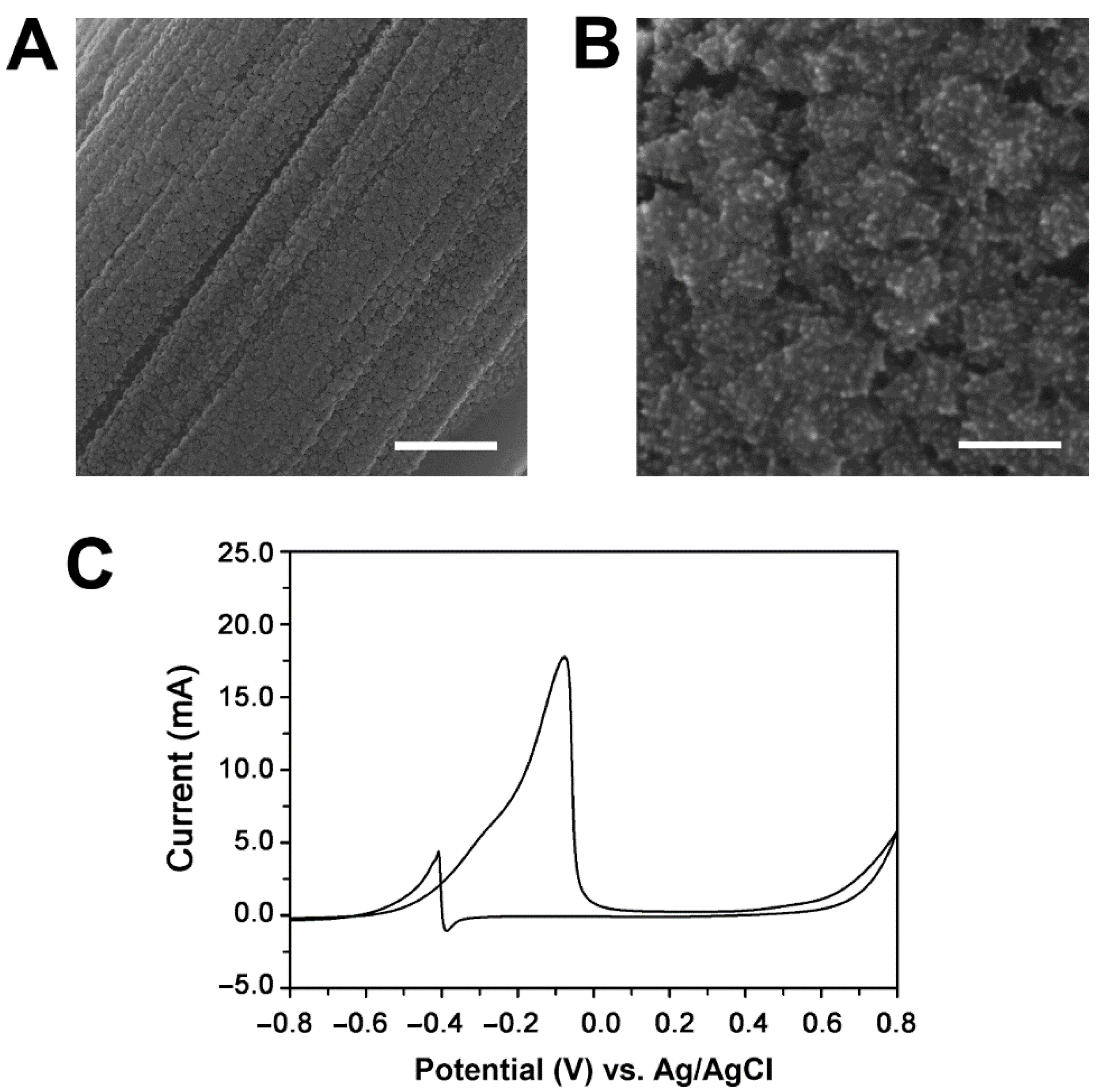 Catalysts 11 00248 g001 Catalysts 11 00248 g001