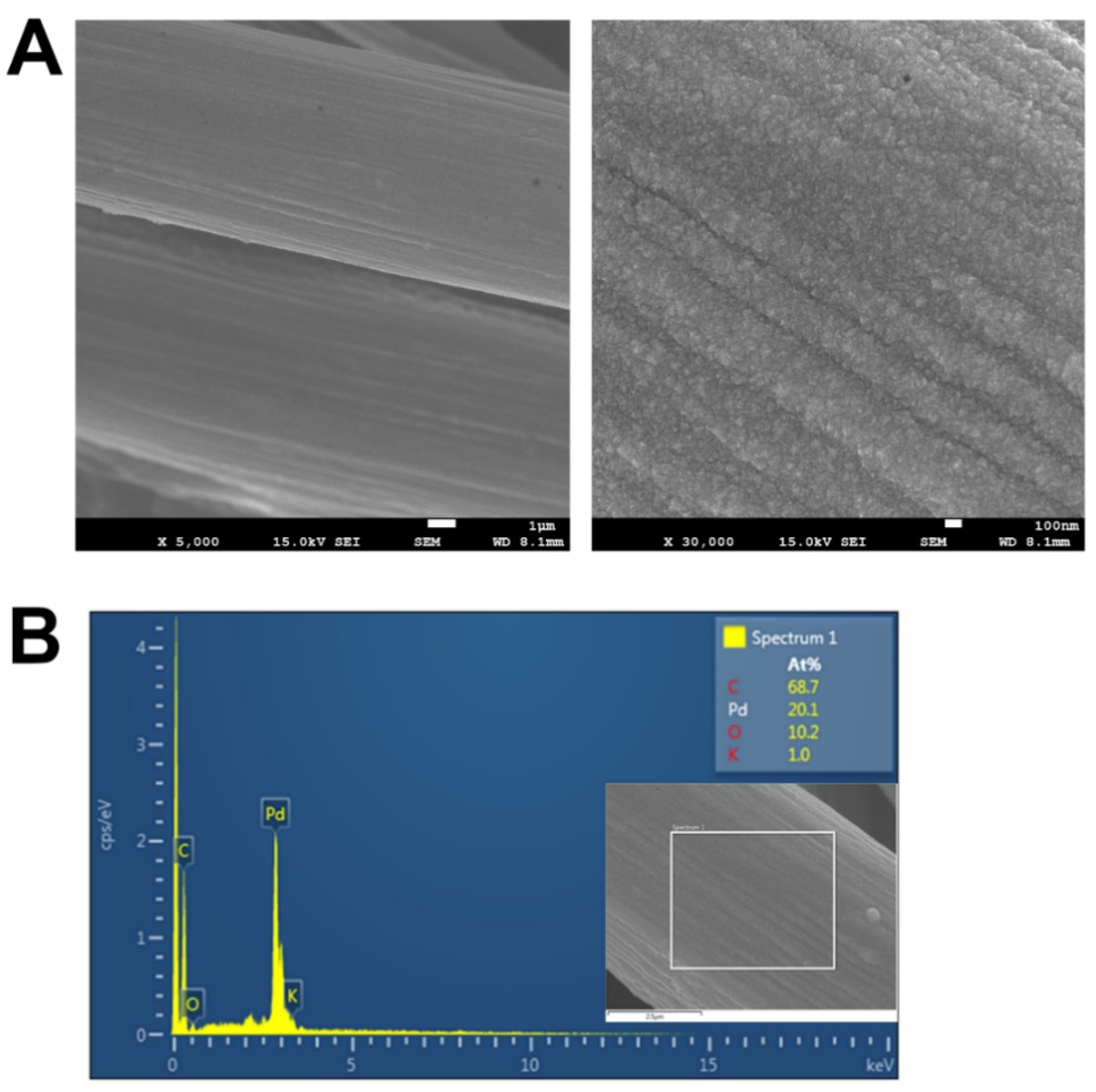 Catalysts 11 00248 g003 Catalysts 11 00248 g003