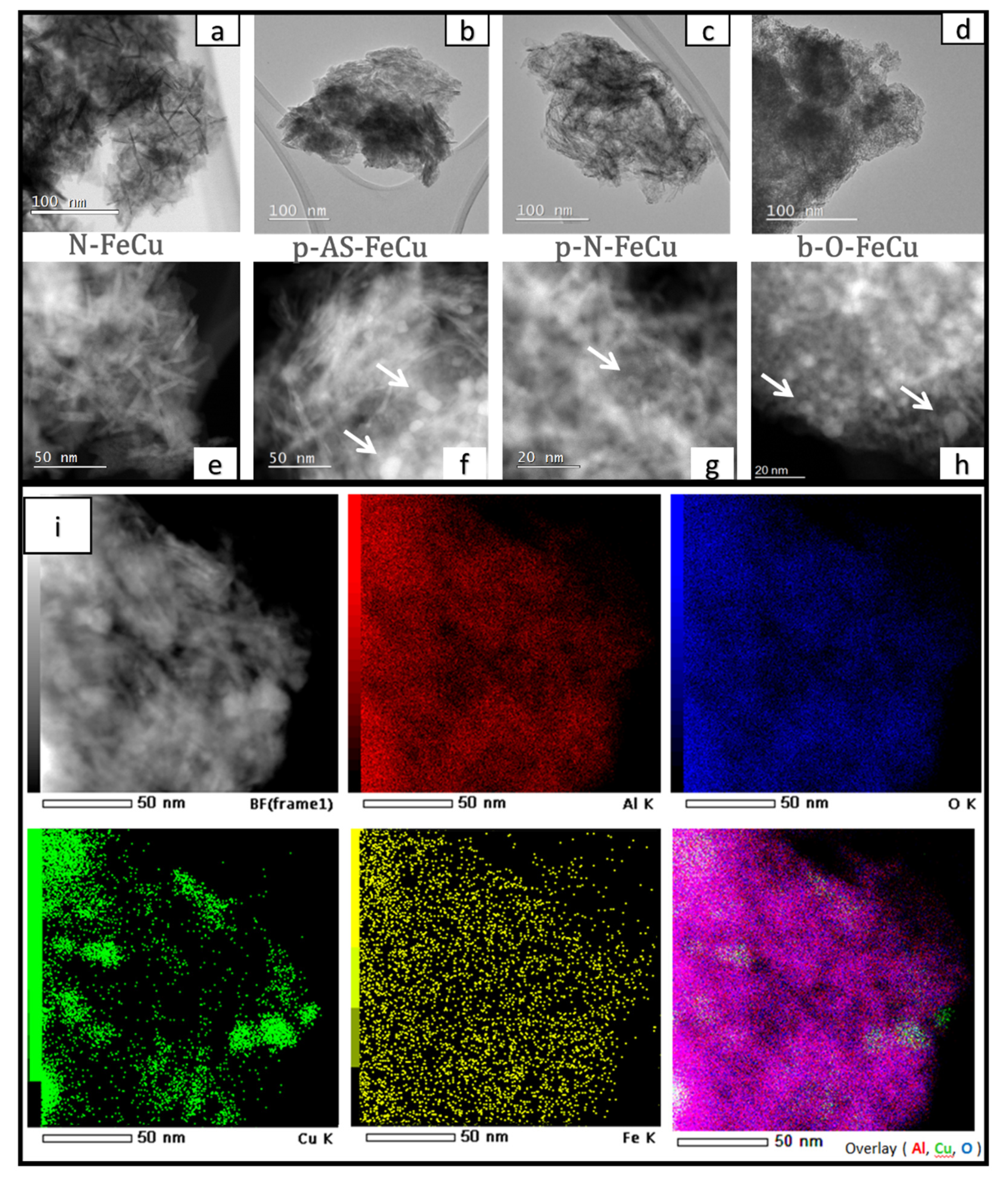 Catalysts 11 00252 g010 Catalysts 11 00252 g010