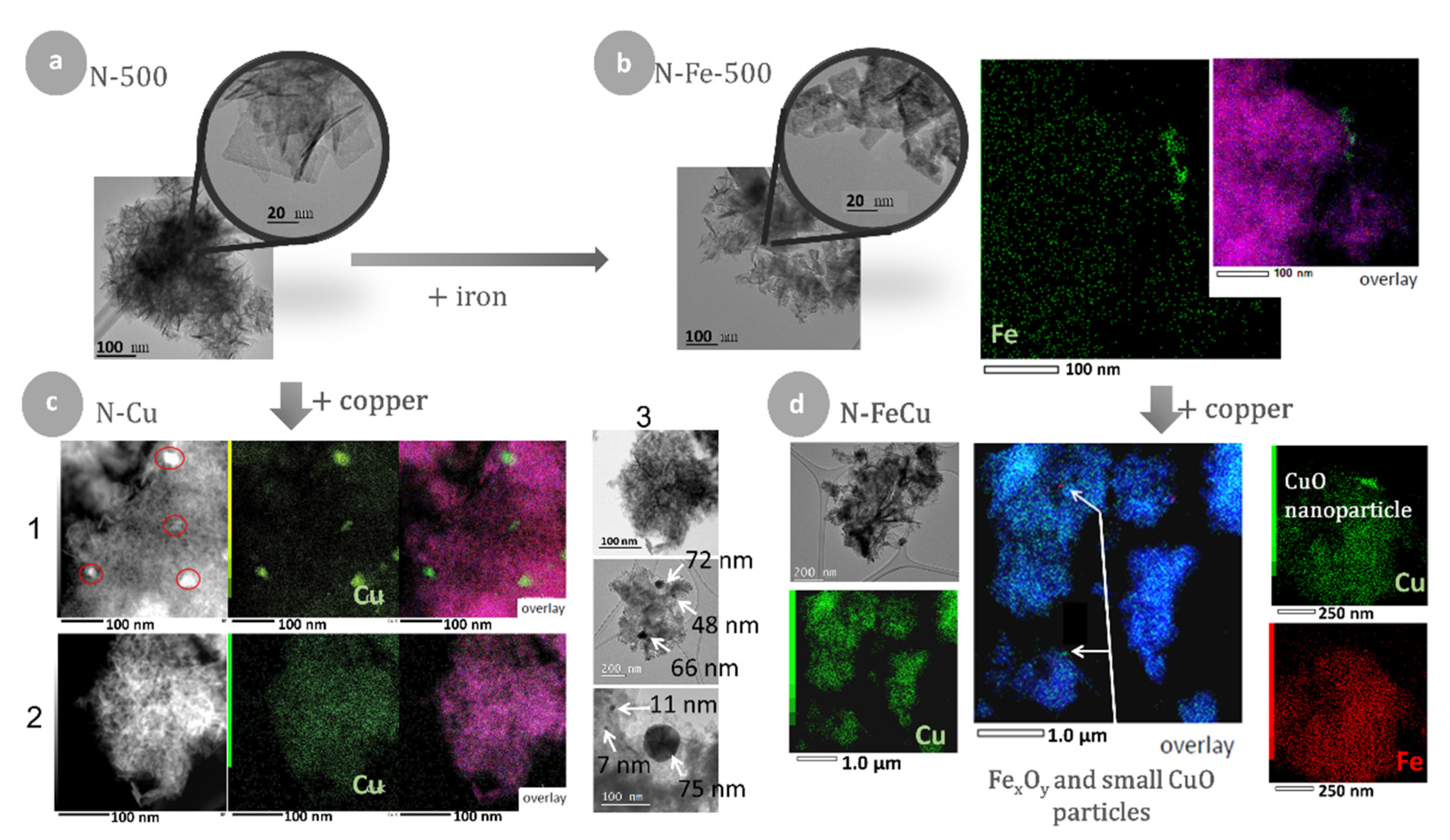 Catalysts 11 00252 g011 Catalysts 11 00252 g011
