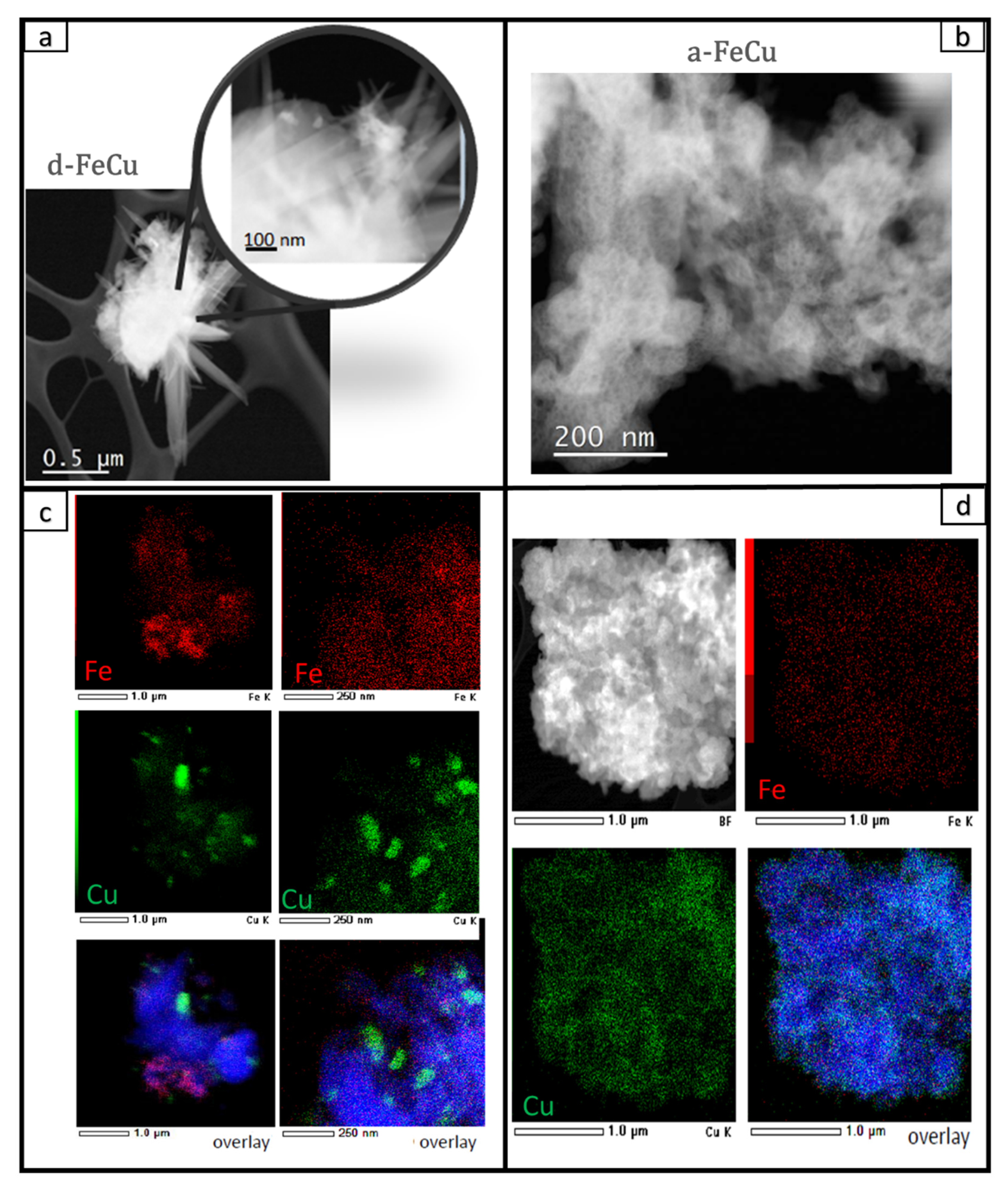 Catalysts 11 00252 g012 Catalysts 11 00252 g012