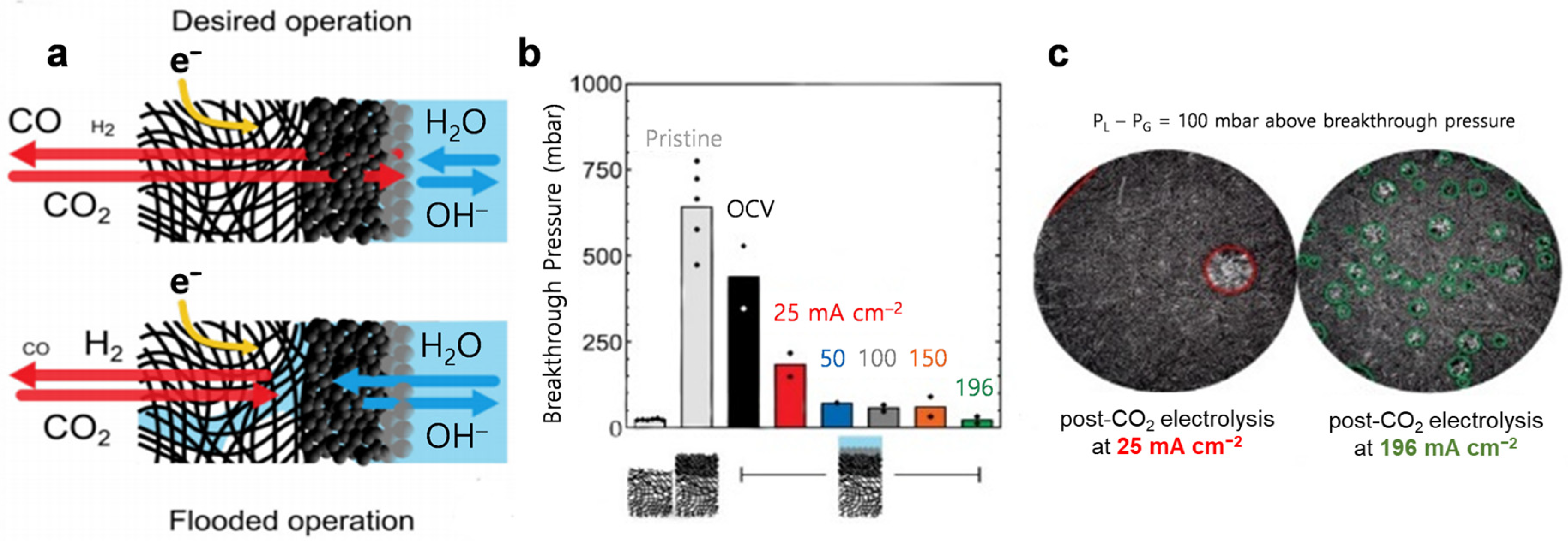 Catalysts 11 00253 g012