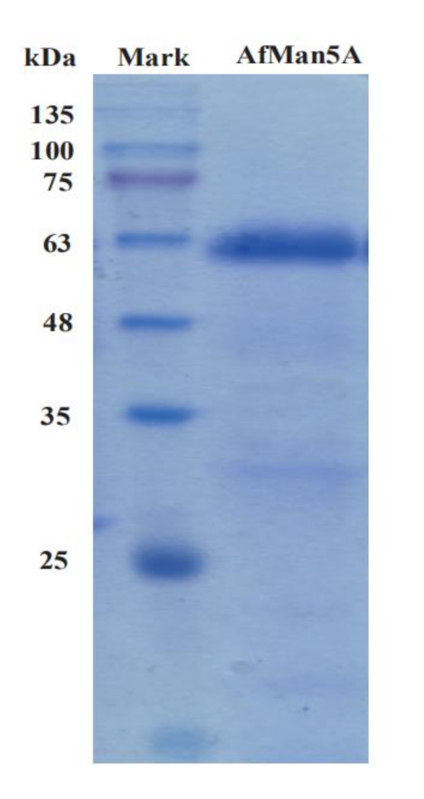 Catalysts 11 00254 g002 Catalysts 11 00254 g002