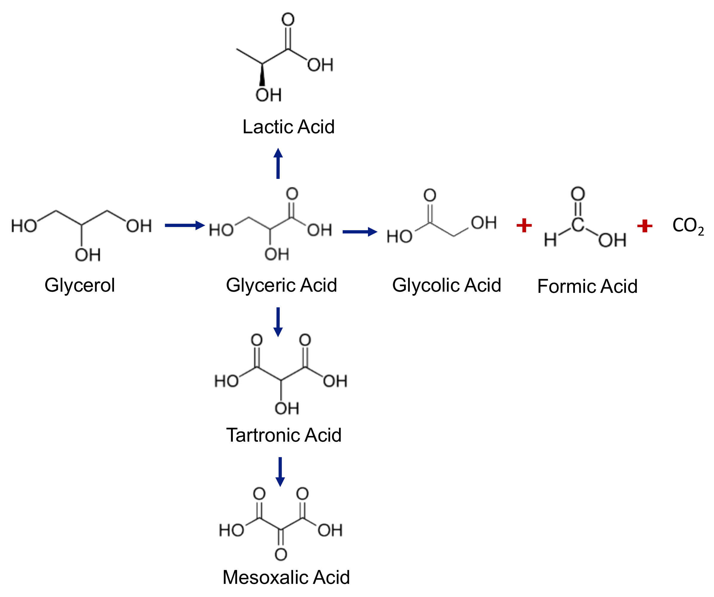 Catalysts 11 00257 g008