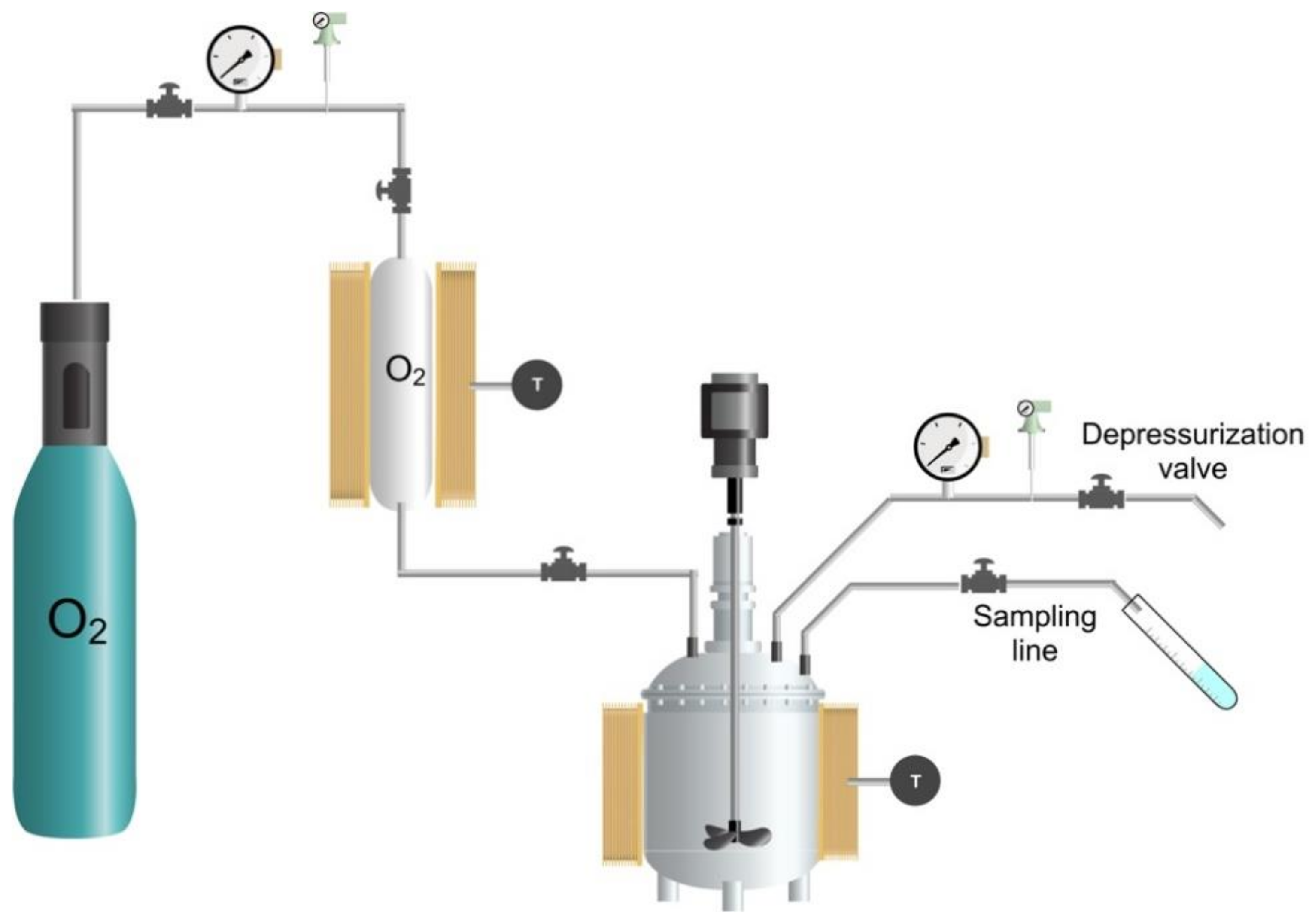 Catalysts 11 00257 g014