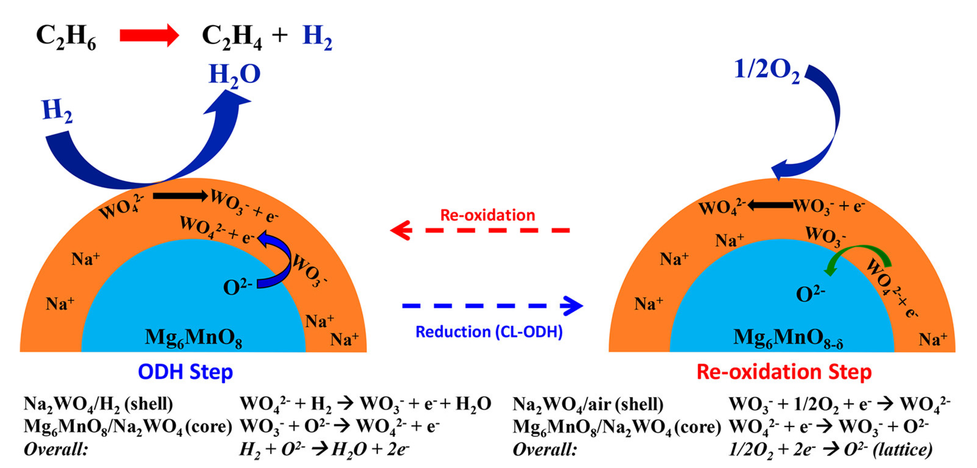 Catalysts 11 00266 g010 Catalysts 11 00266 g010