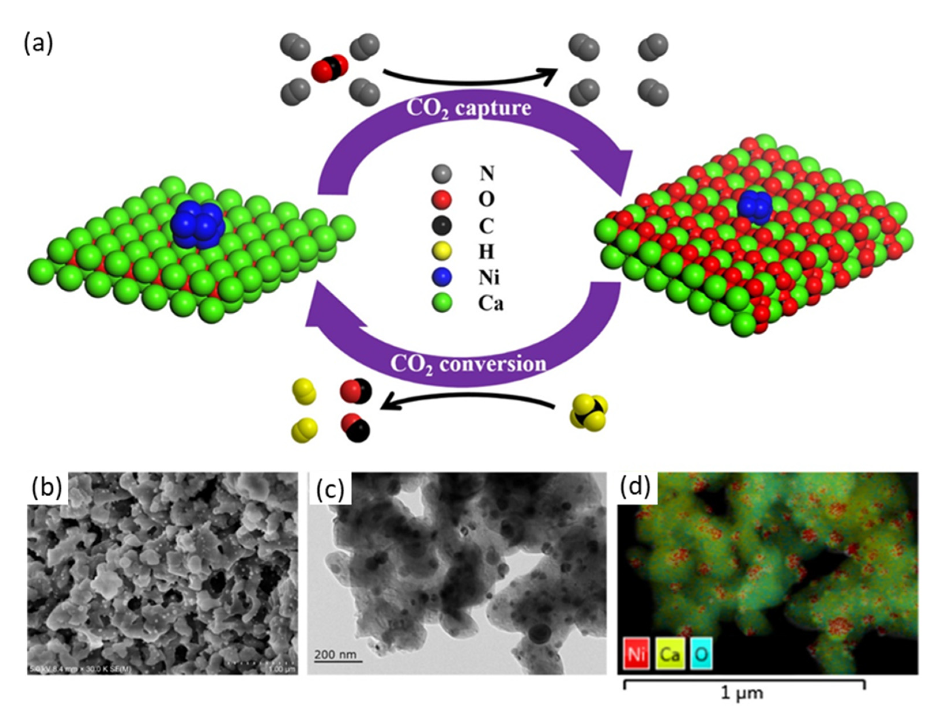 Catalysts 11 00266 g015 Catalysts 11 00266 g015
