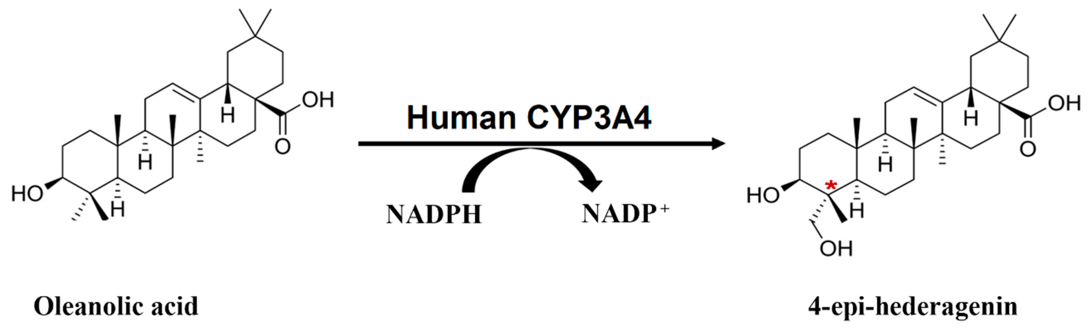 Catalysts 11 00267 g001 Catalysts 11 00267 g001