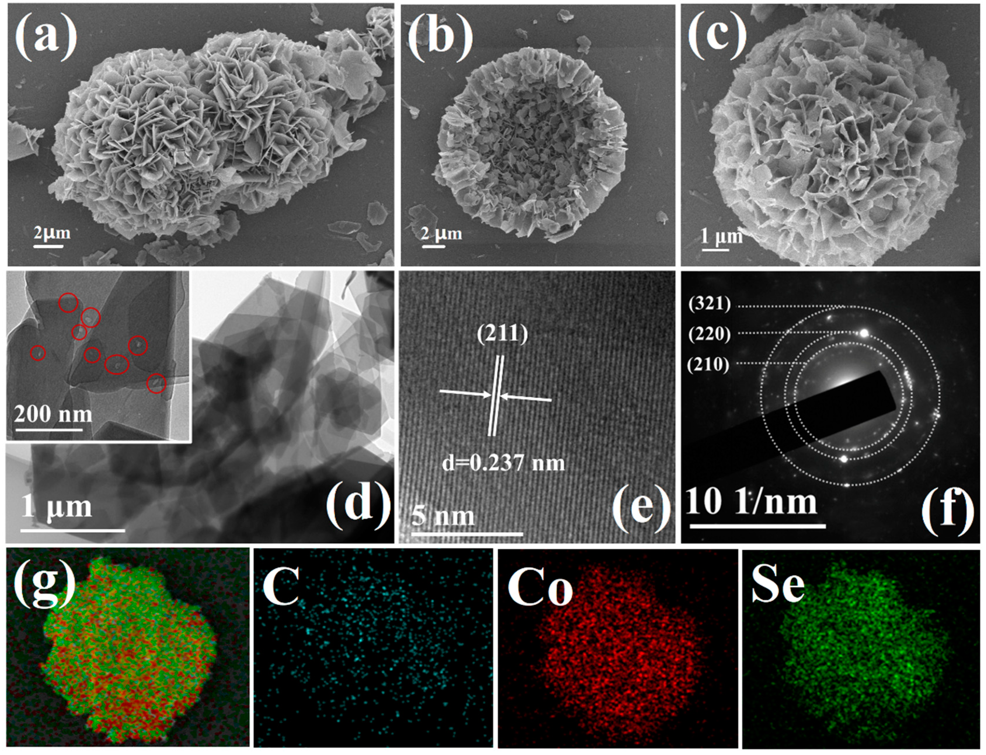 Catalysts 11 00273 g002 Catalysts 11 00273 g002