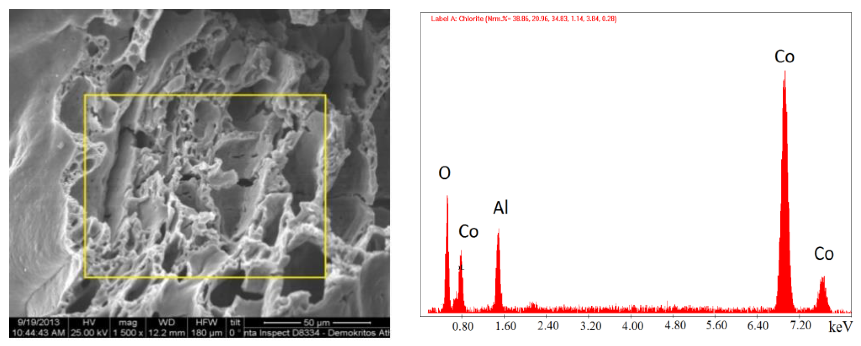 Catalysts 11 00274 g007