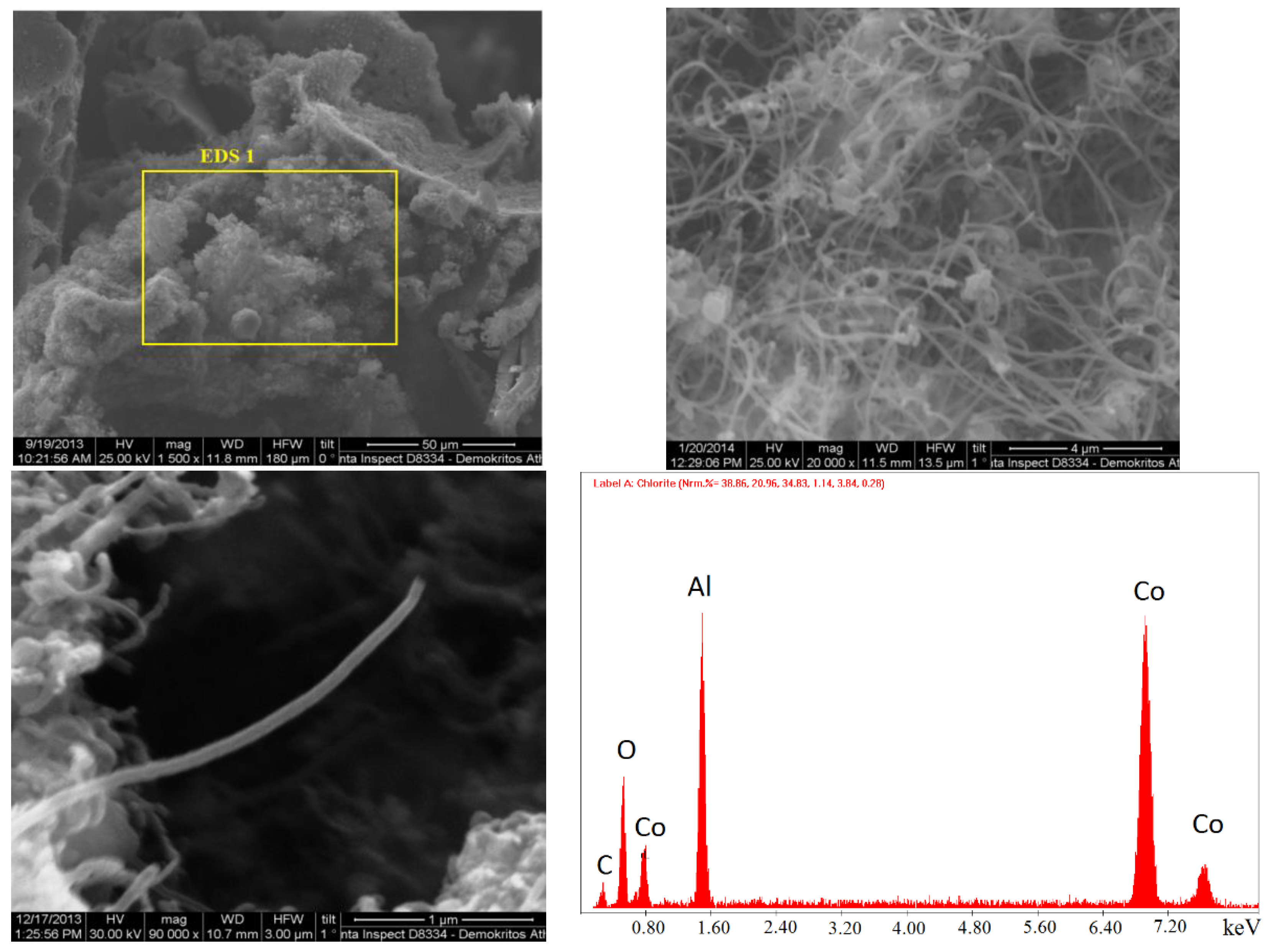 Catalysts 11 00274 g014