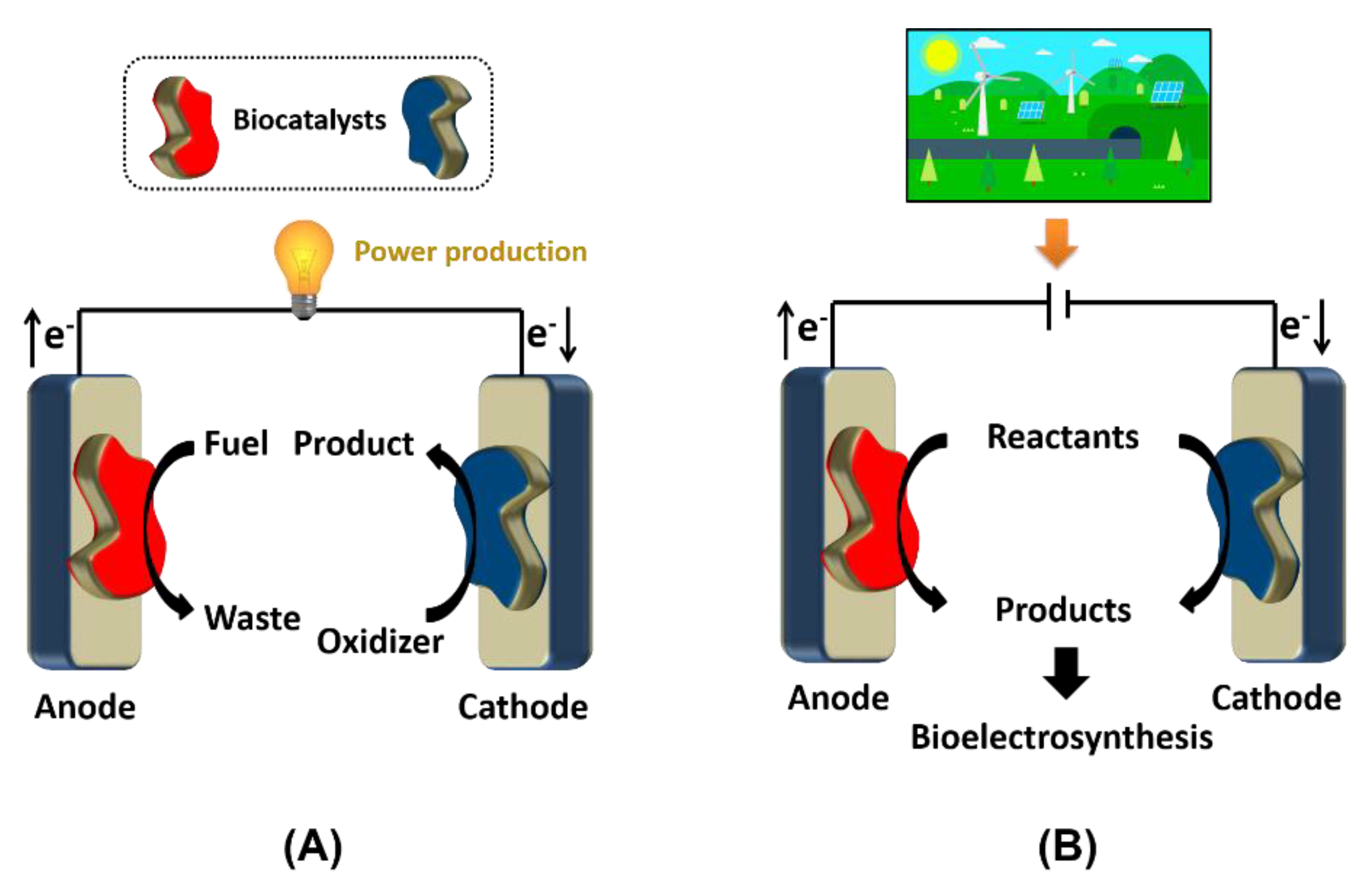 Catalysts 11 00278 g001 Catalysts 11 00278 g001