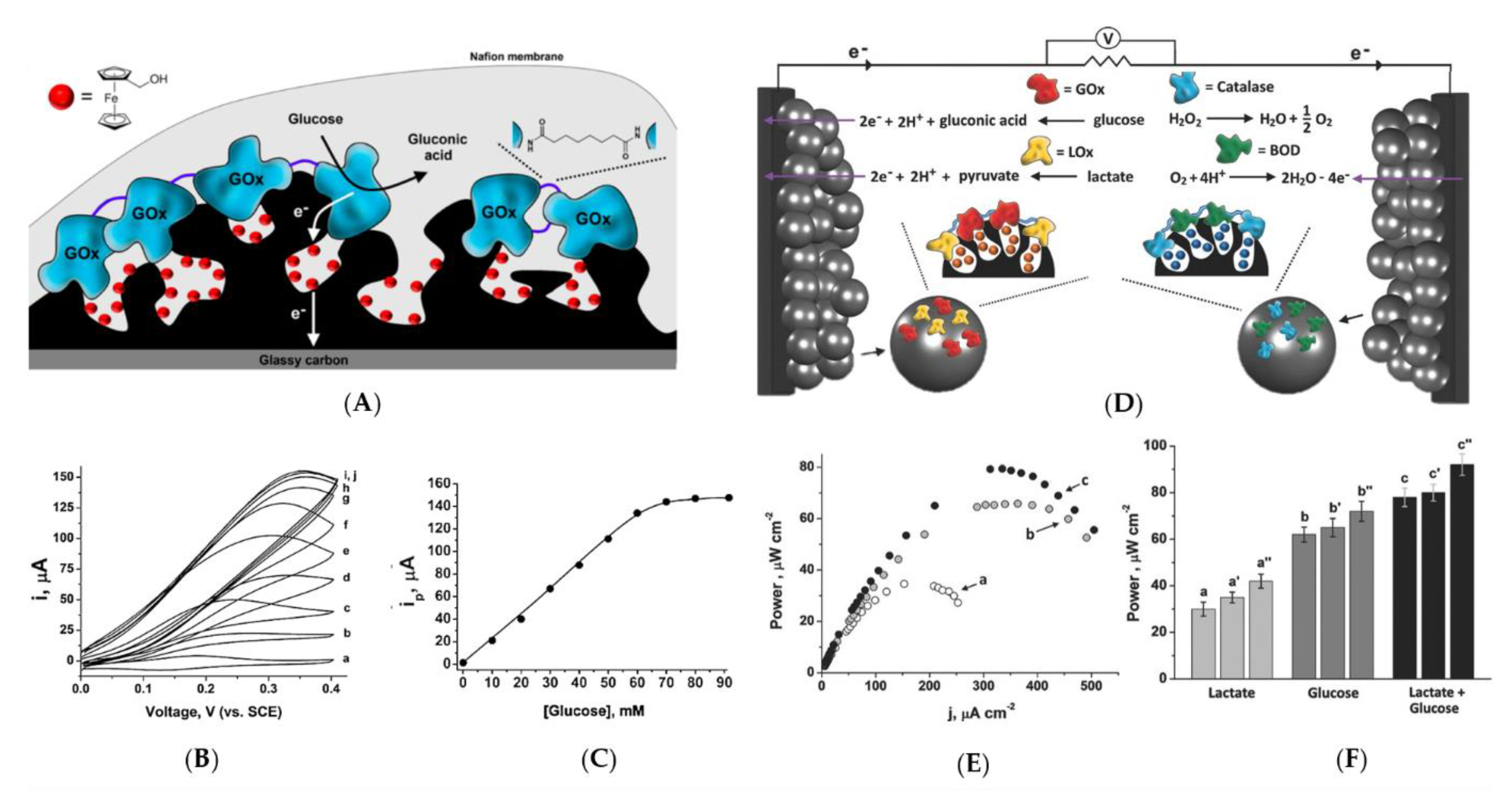 Catalysts 11 00278 g002 Catalysts 11 00278 g002