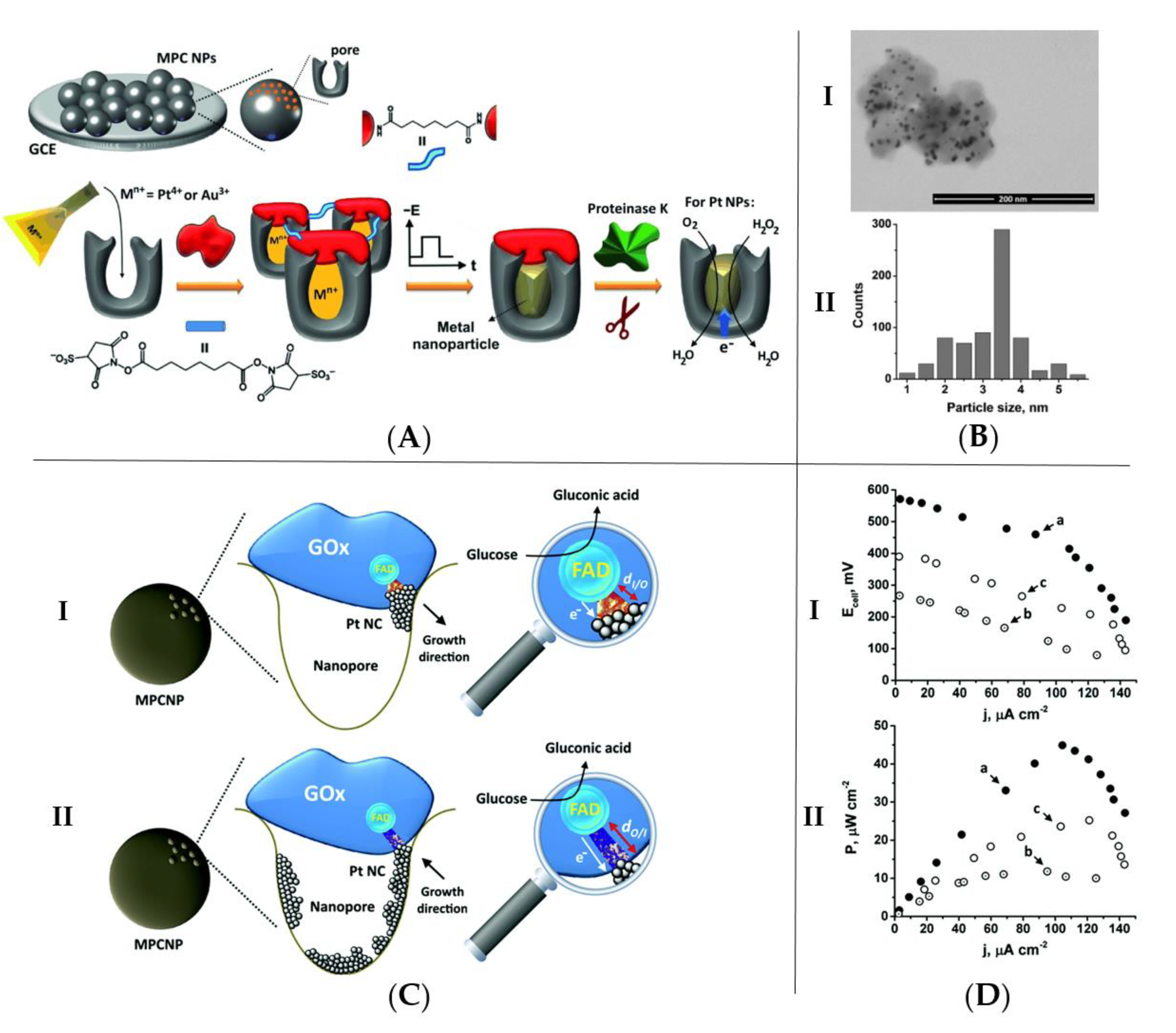 Catalysts 11 00278 g003 Catalysts 11 00278 g003