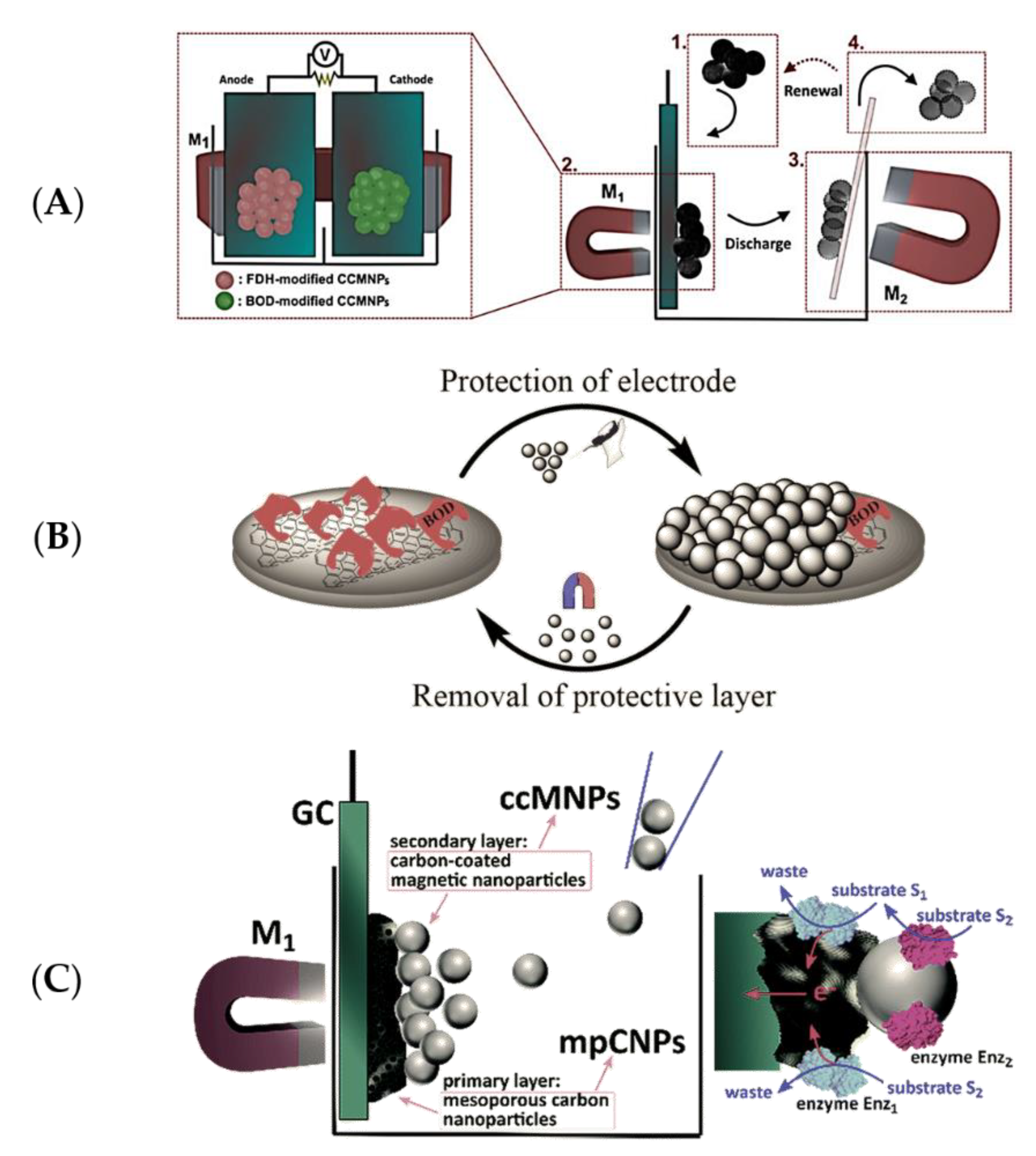 Catalysts 11 00278 g004 Catalysts 11 00278 g004