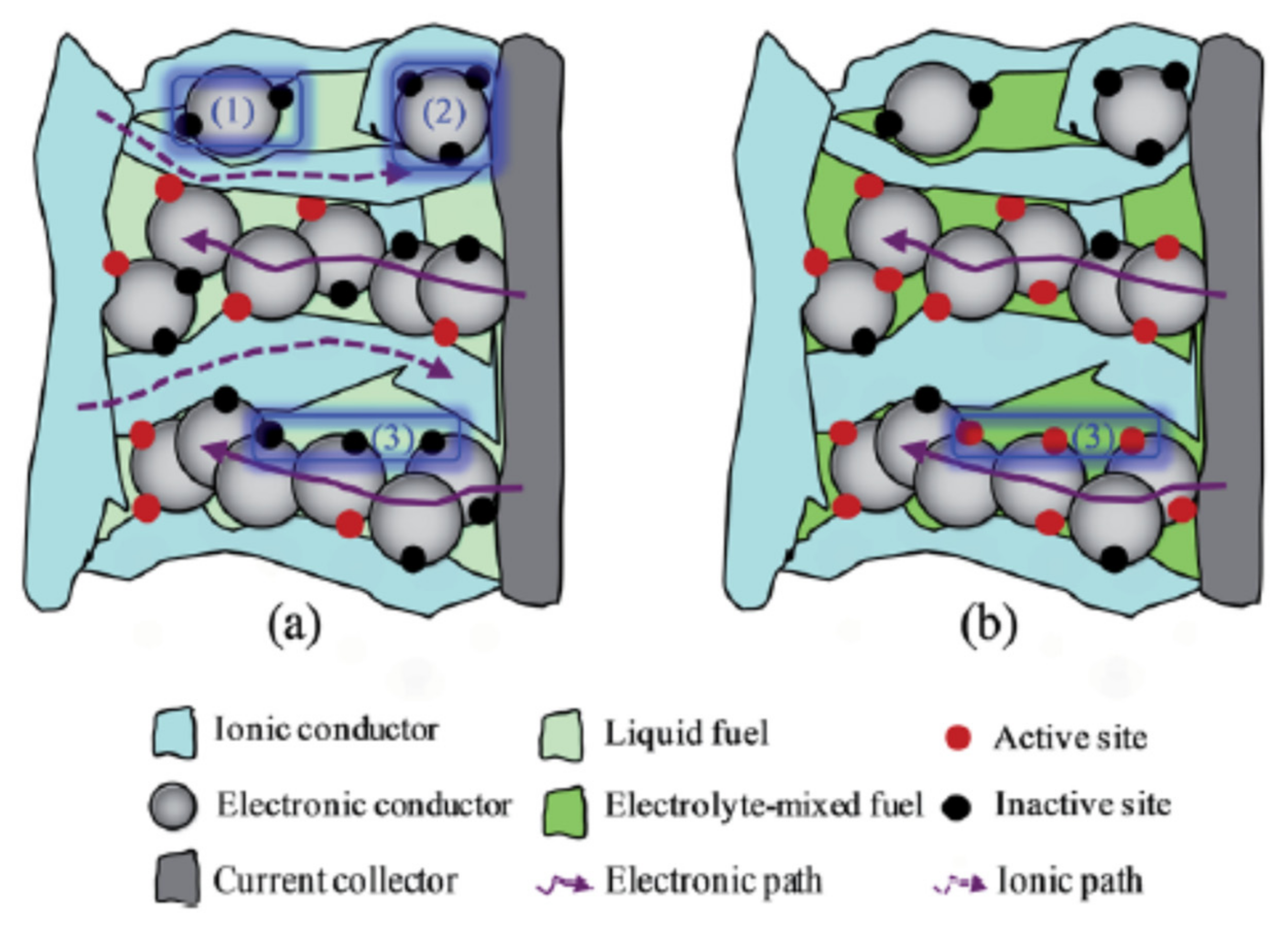 Catalysts 11 00279 g003 Catalysts 11 00279 g003