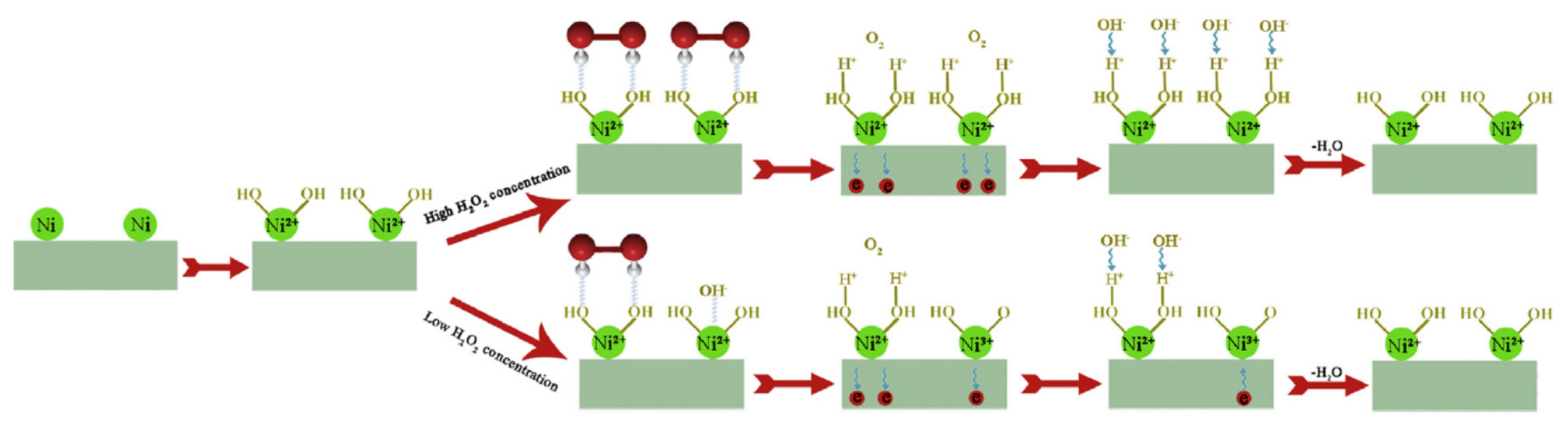 Catalysts 11 00279 g007 Catalysts 11 00279 g007