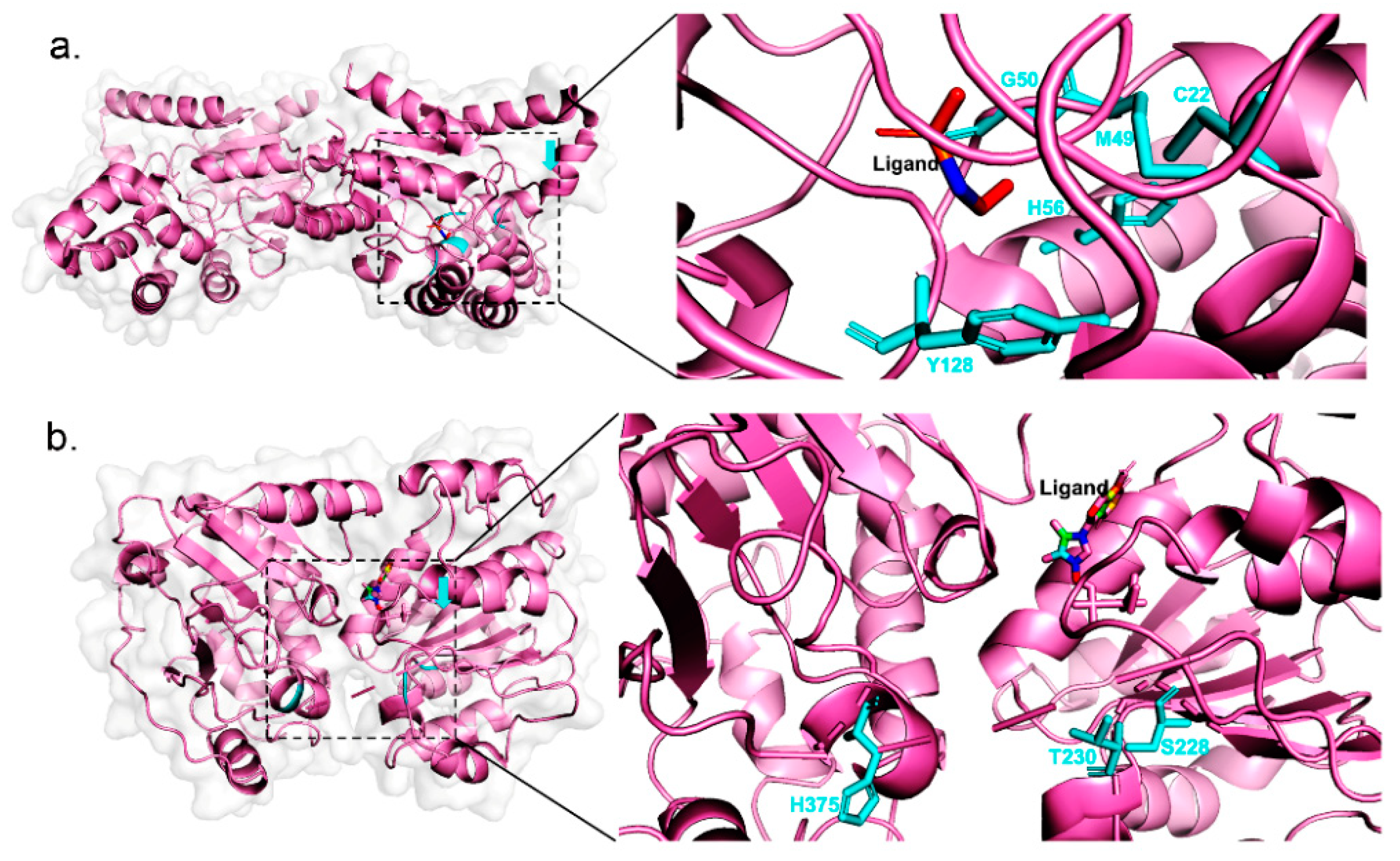 Catalysts 11 00286 g004