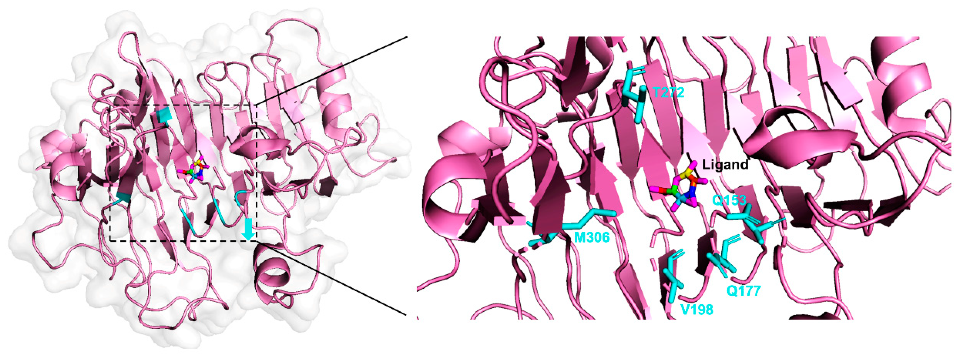 Catalysts 11 00286 g006