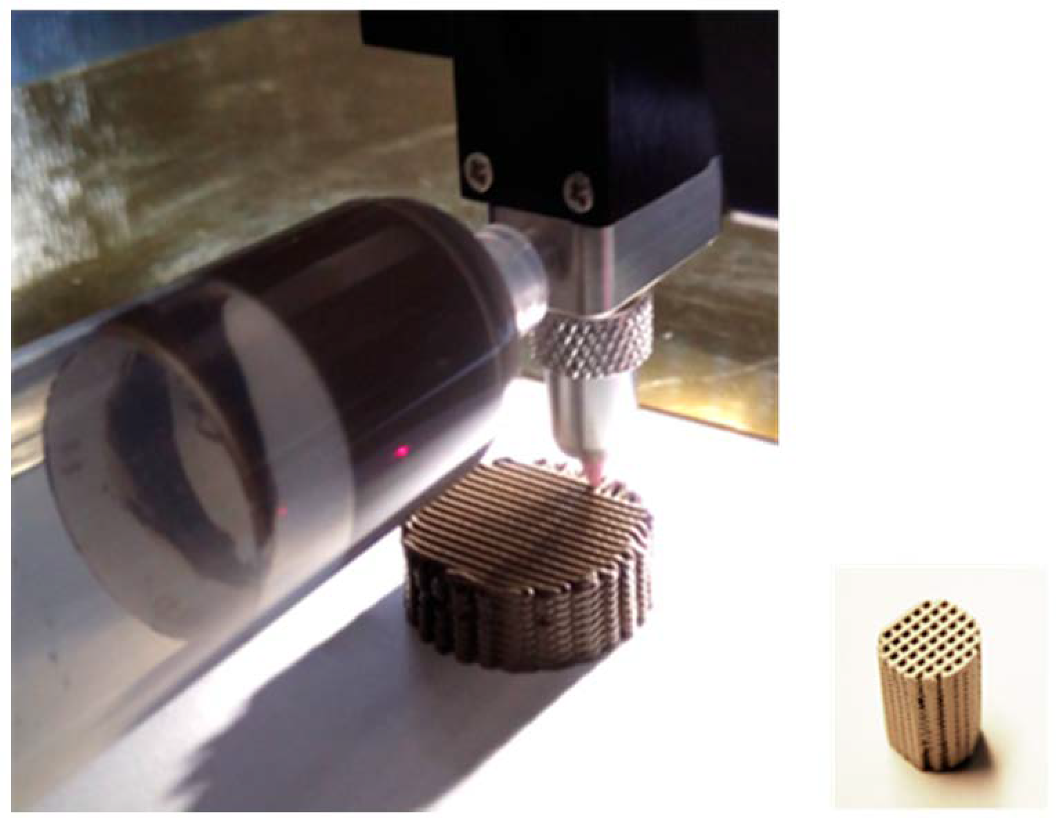 Catalysts 11 00290 g001 Catalysts 11 00290 g001