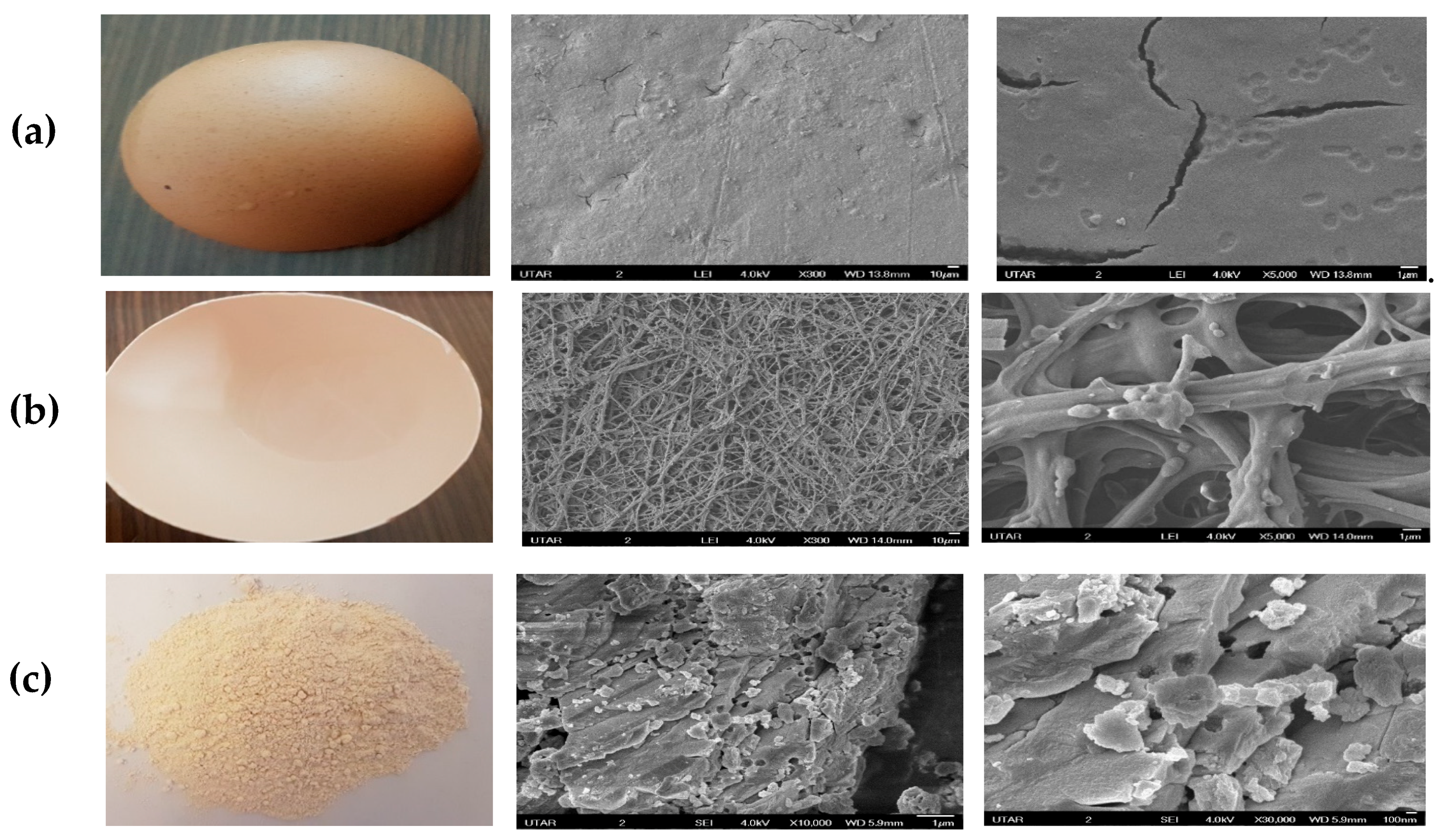 Catalysts 11 00295 g001 Catalysts 11 00295 g001