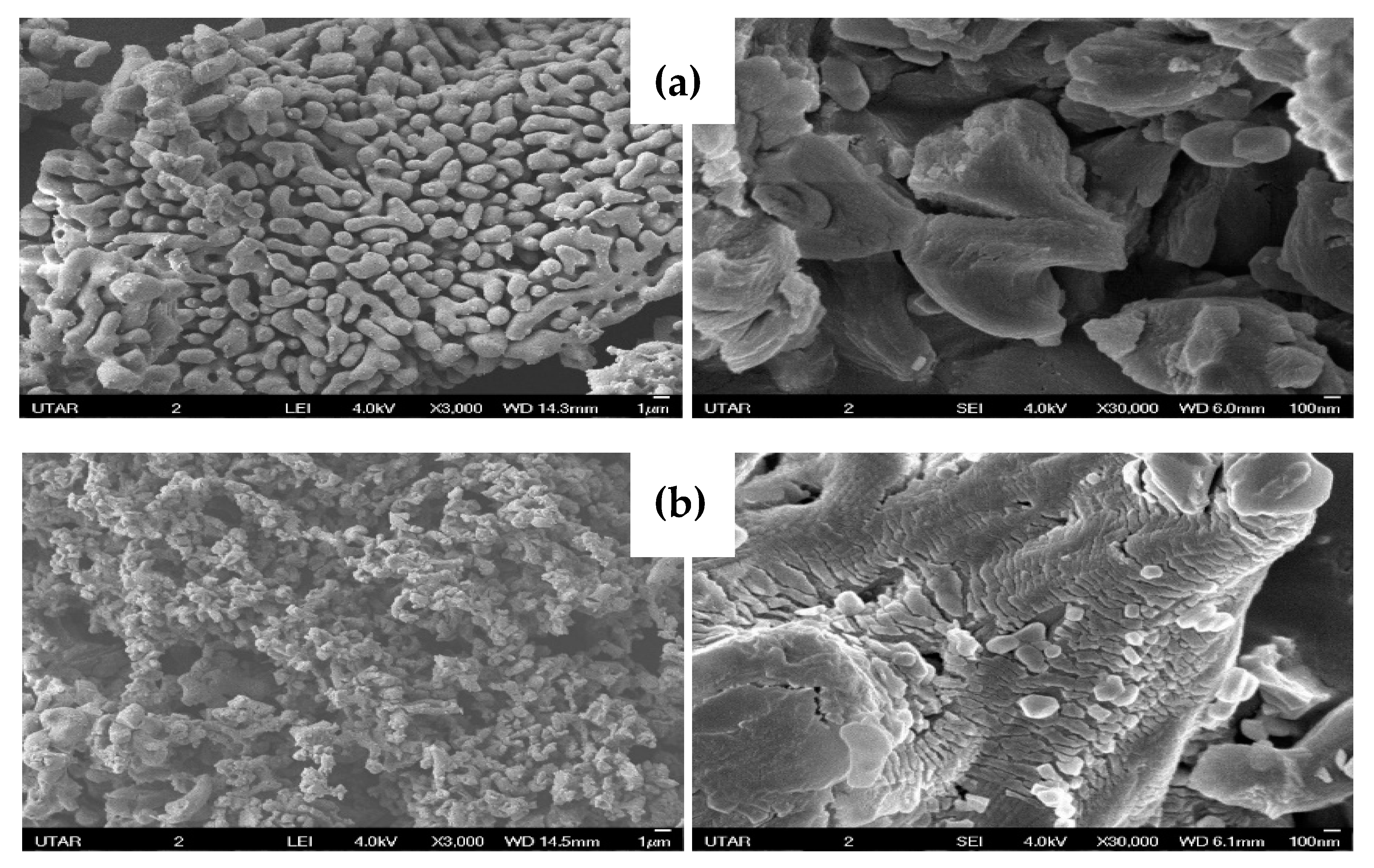 Catalysts 11 00295 g002 Catalysts 11 00295 g002