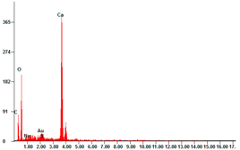 Catalysts 11 00295 i002 Catalysts 11 00295 i002
