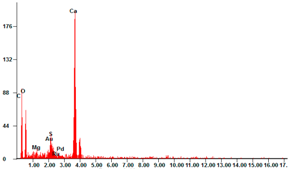 Catalysts 11 00295 i005 Catalysts 11 00295 i005