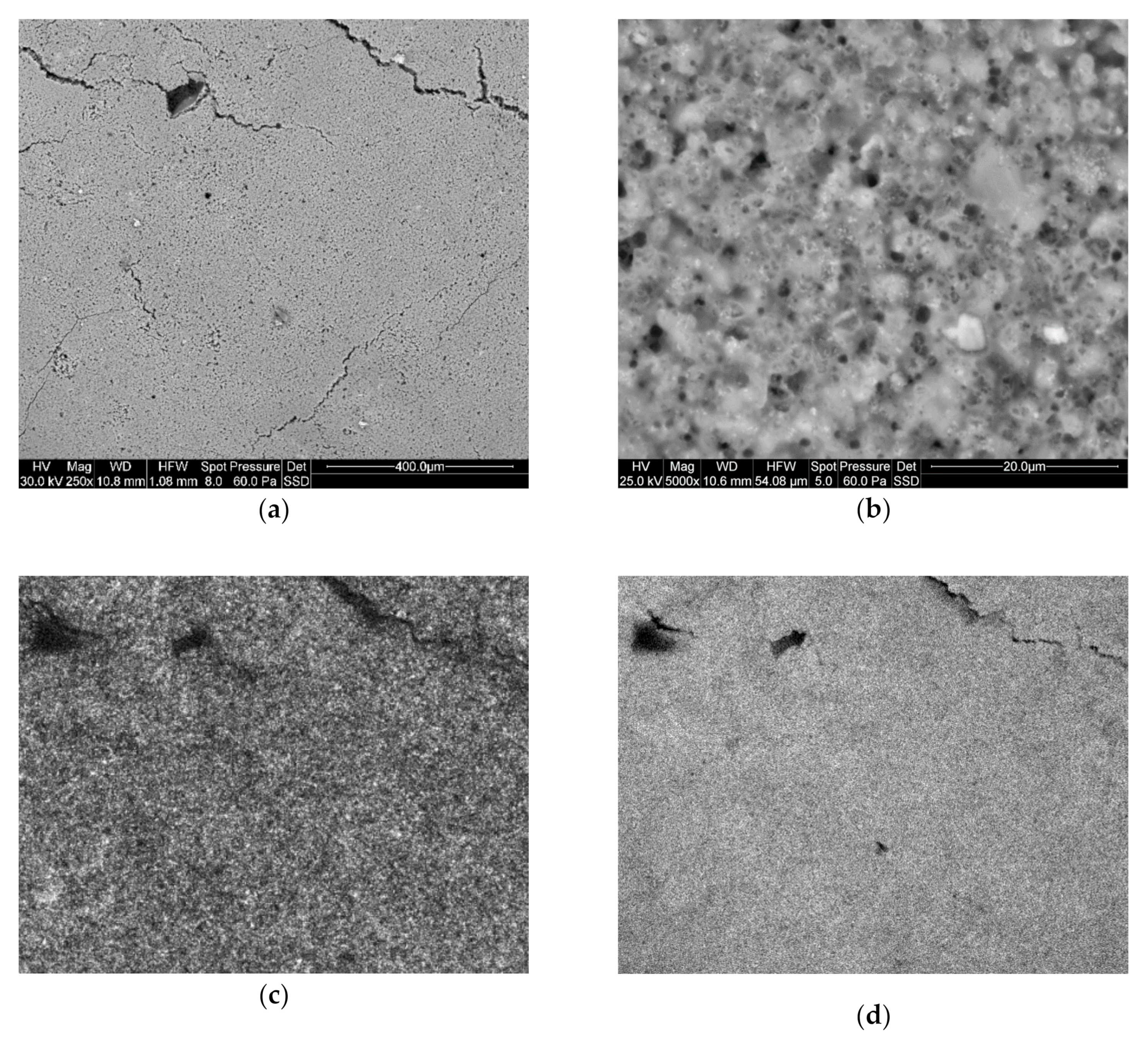 Catalysts 11 00296 g003a Catalysts 11 00296 g003a