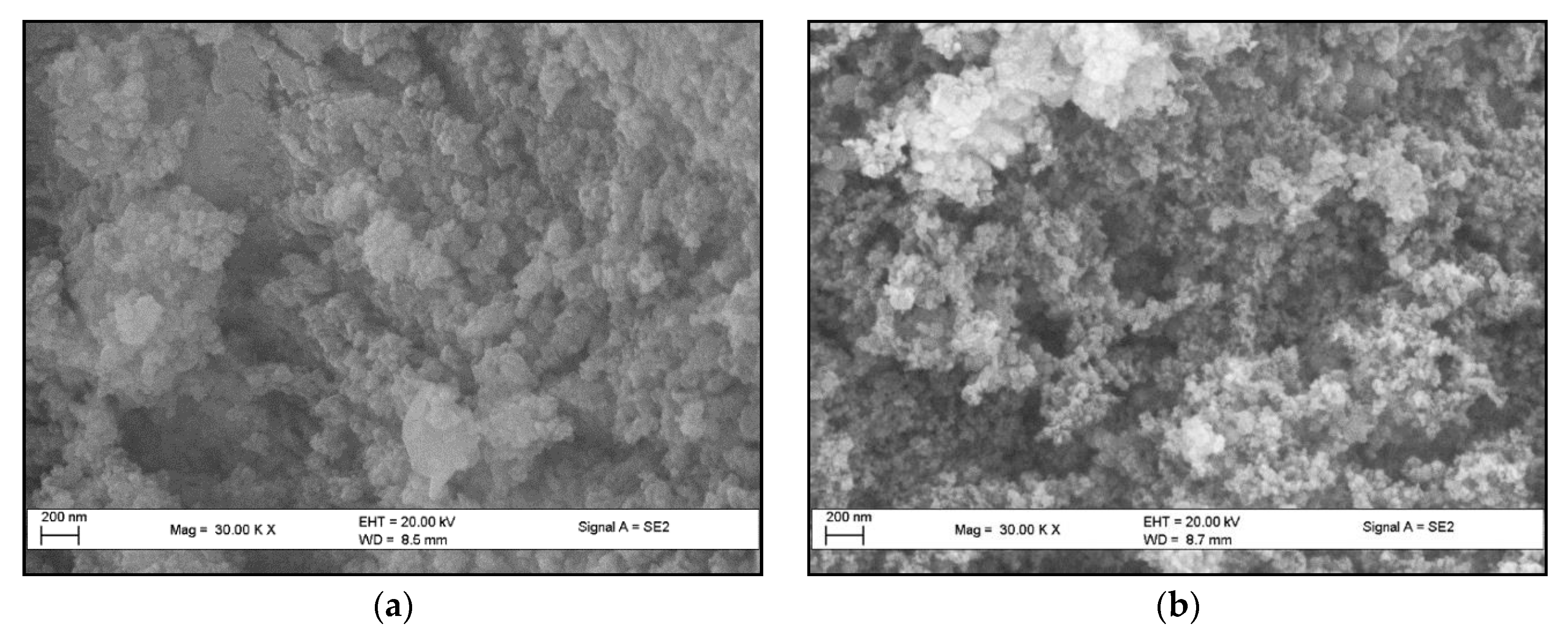 Catalysts 11 00297 g008
