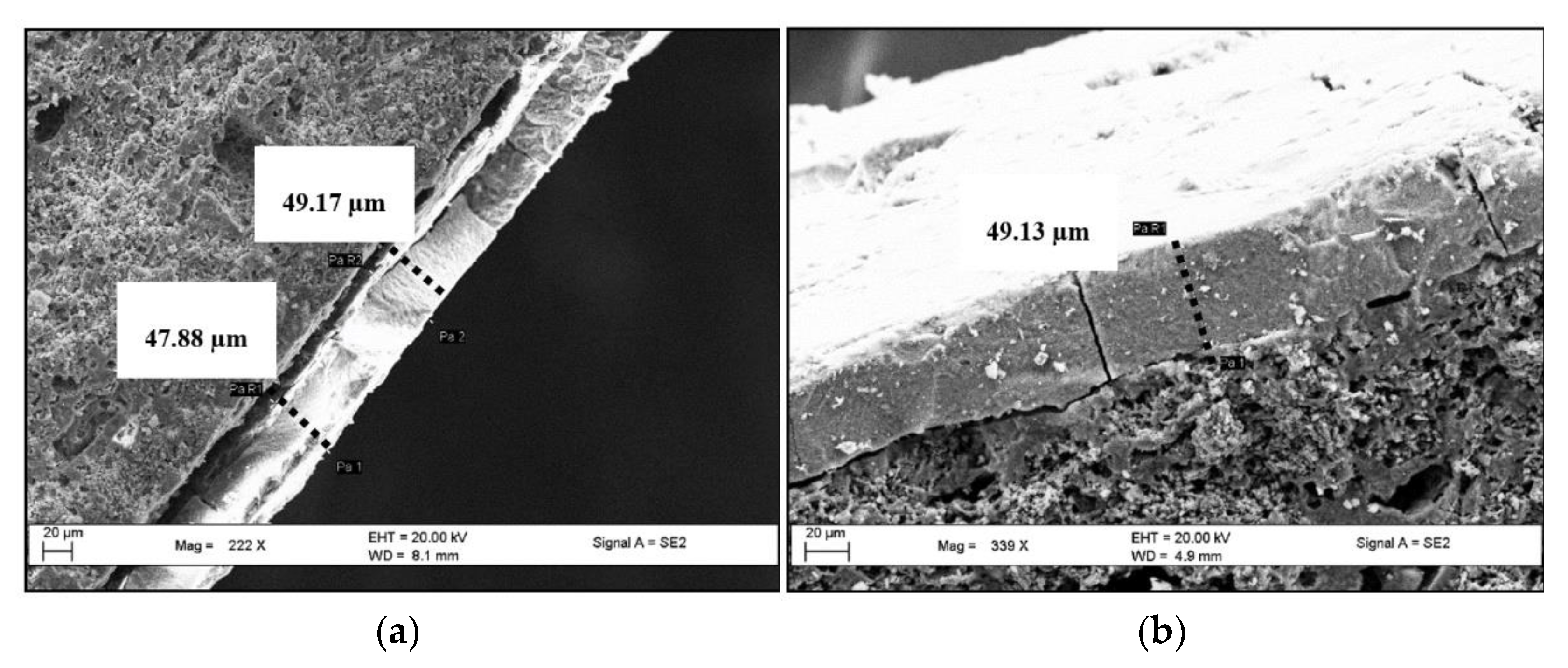 Catalysts 11 00297 g009