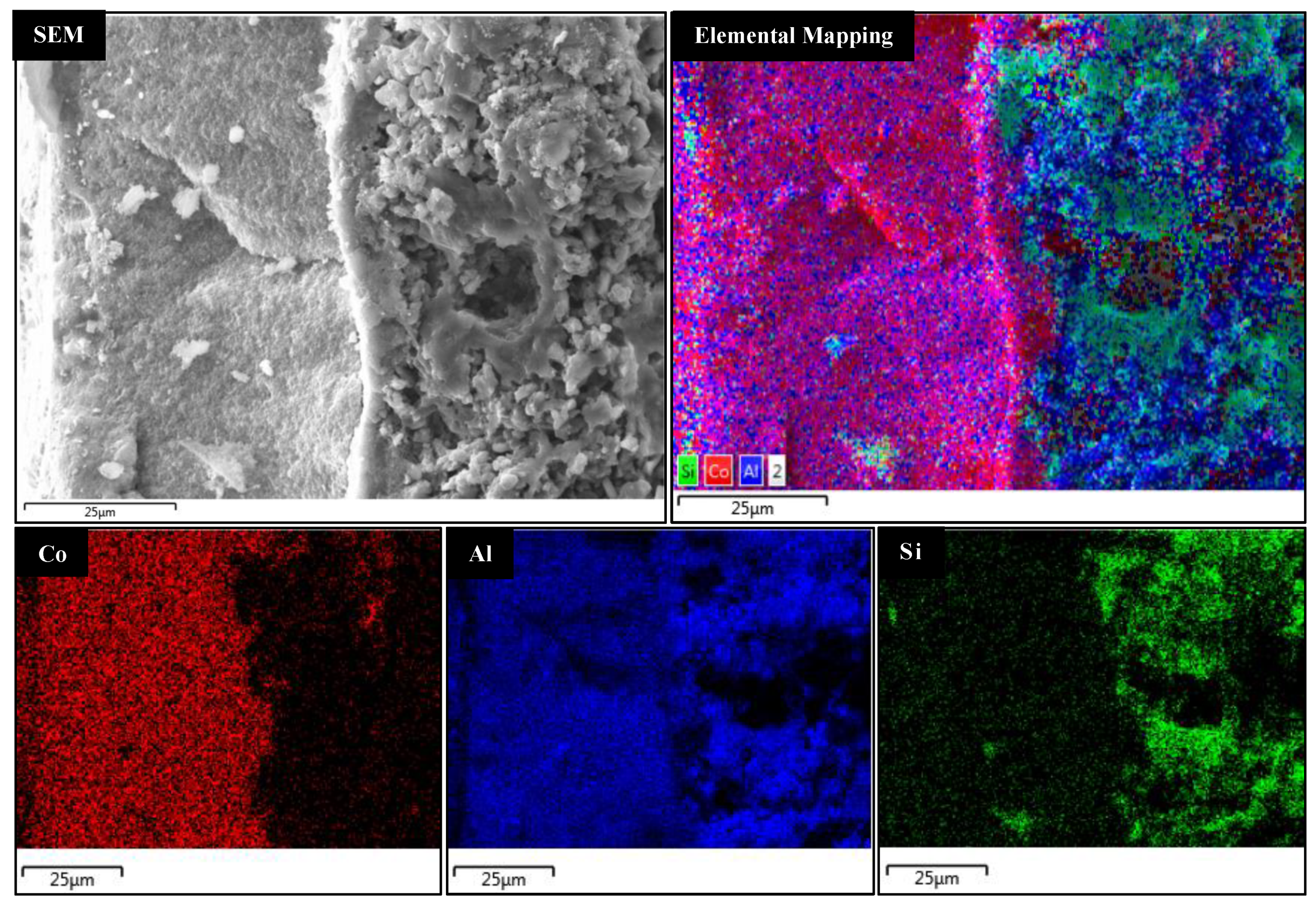 Catalysts 11 00297 g010