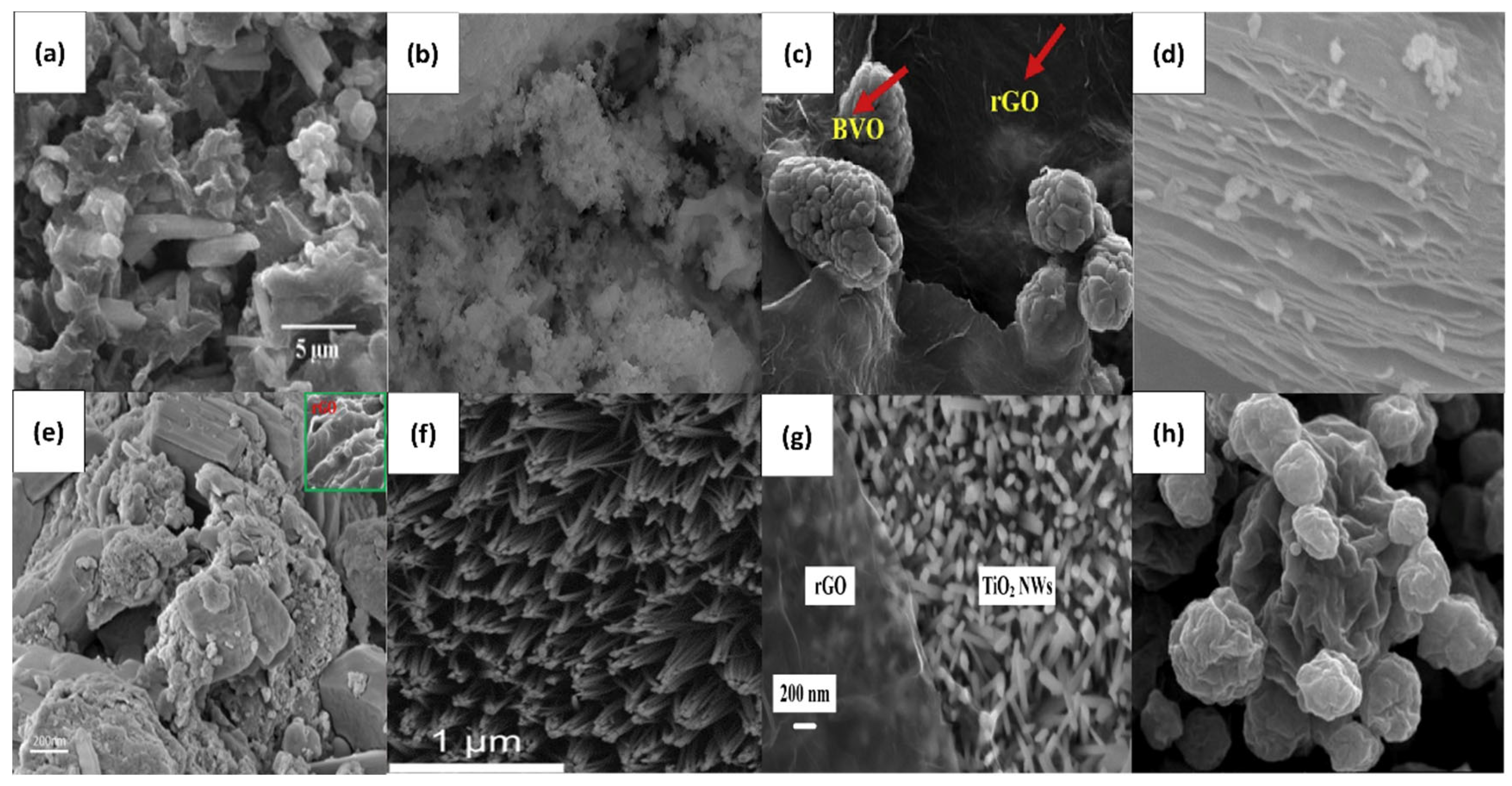 Catalysts 11 00302 g004 Catalysts 11 00302 g004