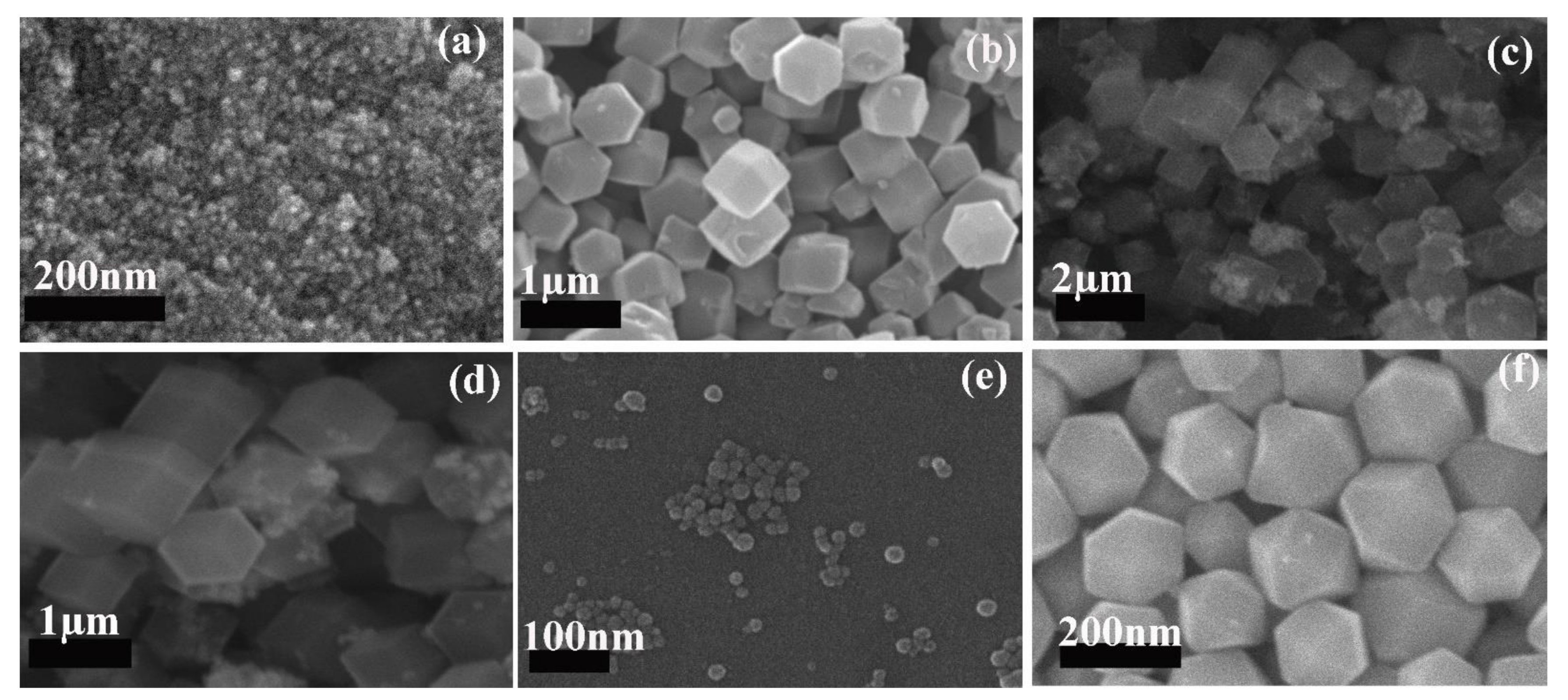Catalysts 11 00304 g002 Catalysts 11 00304 g002