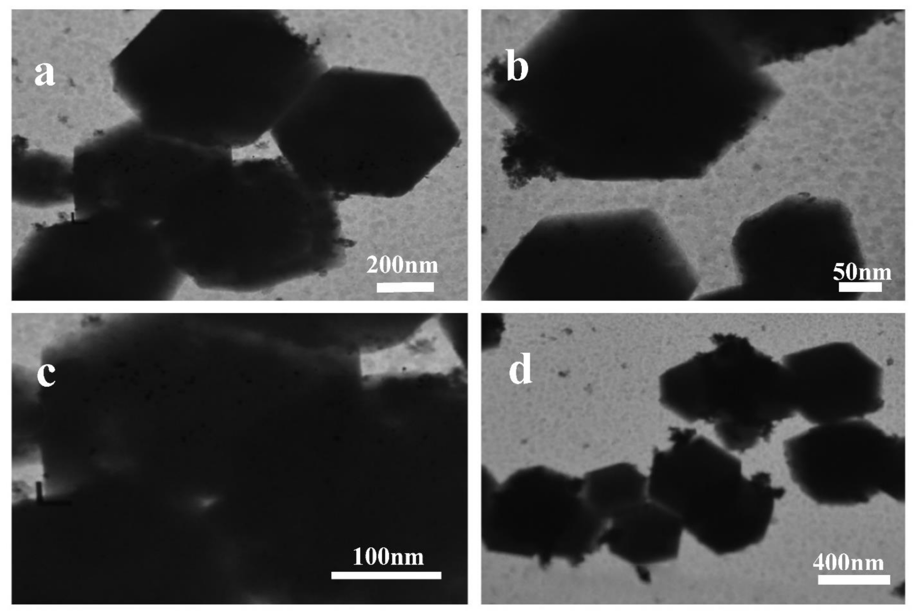 Catalysts 11 00304 g003 Catalysts 11 00304 g003
