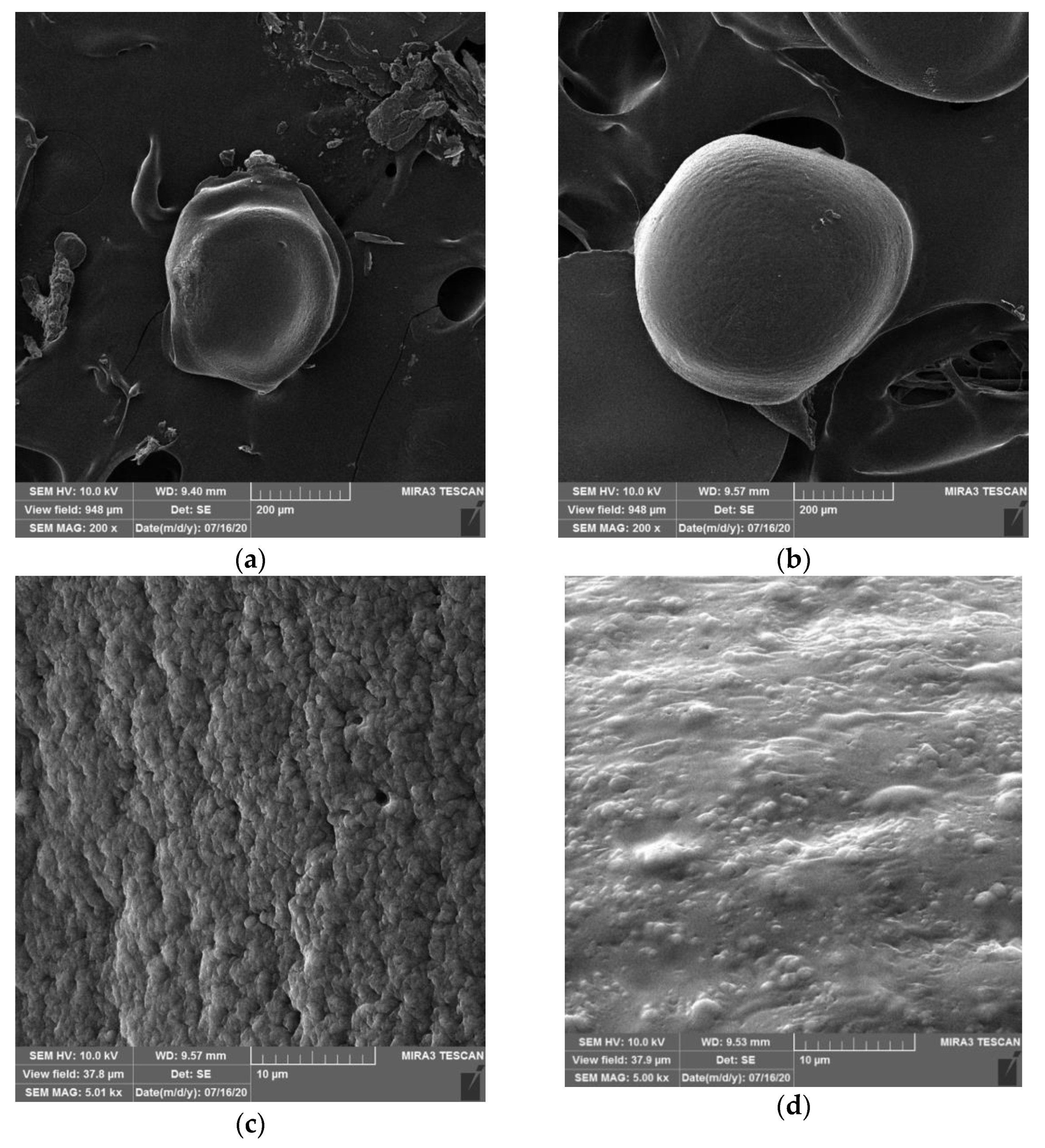 Catalysts 11 00305 g001