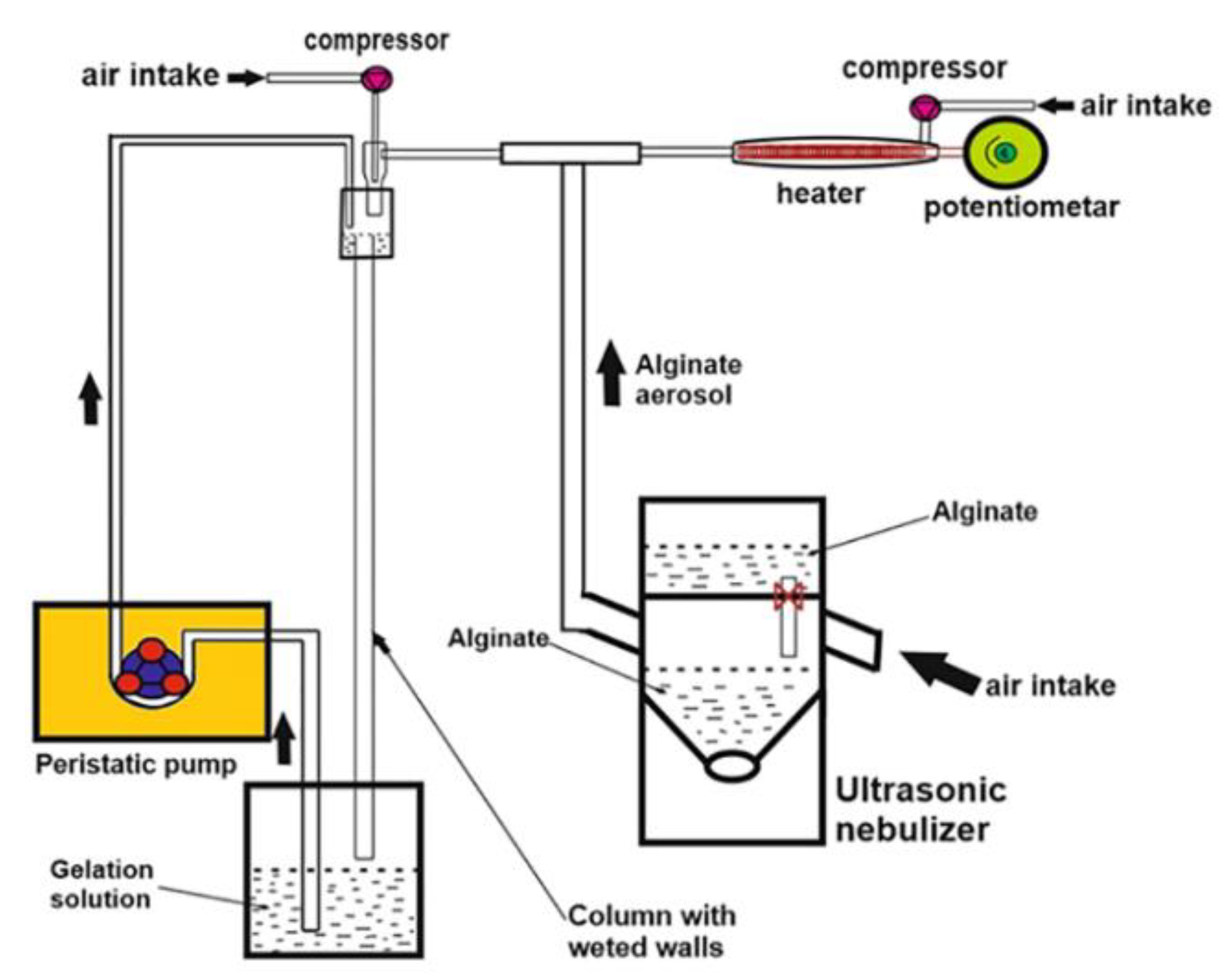 Catalysts 11 00305 g007