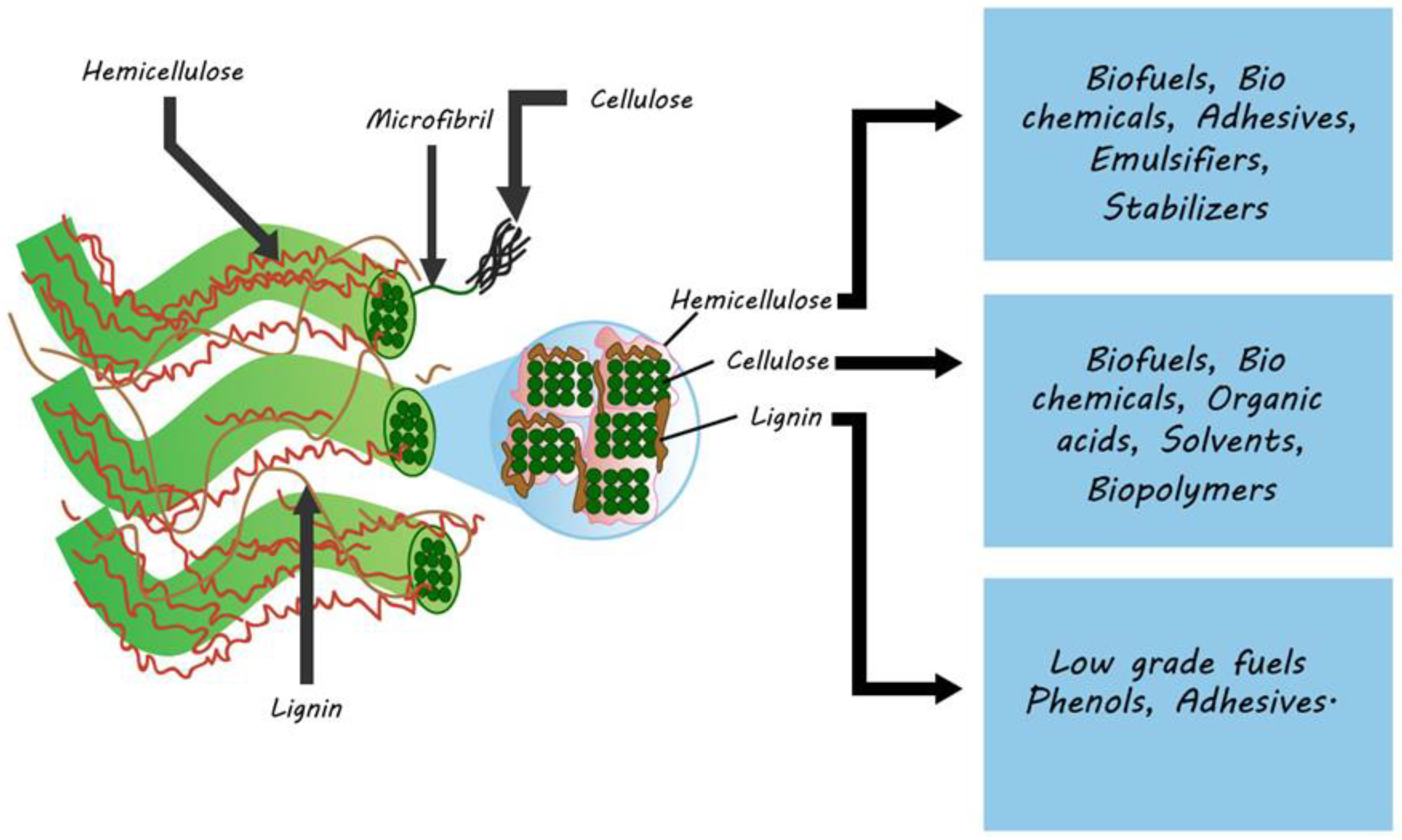 Catalysts Free Full Text Advances In Valorization Of Lignocellulosic Biomass Towards Energy Generation Html Catalysts Free Full Text Advances In Valorization Of Lignocellulosic Biomass Towards Energy Generation Html