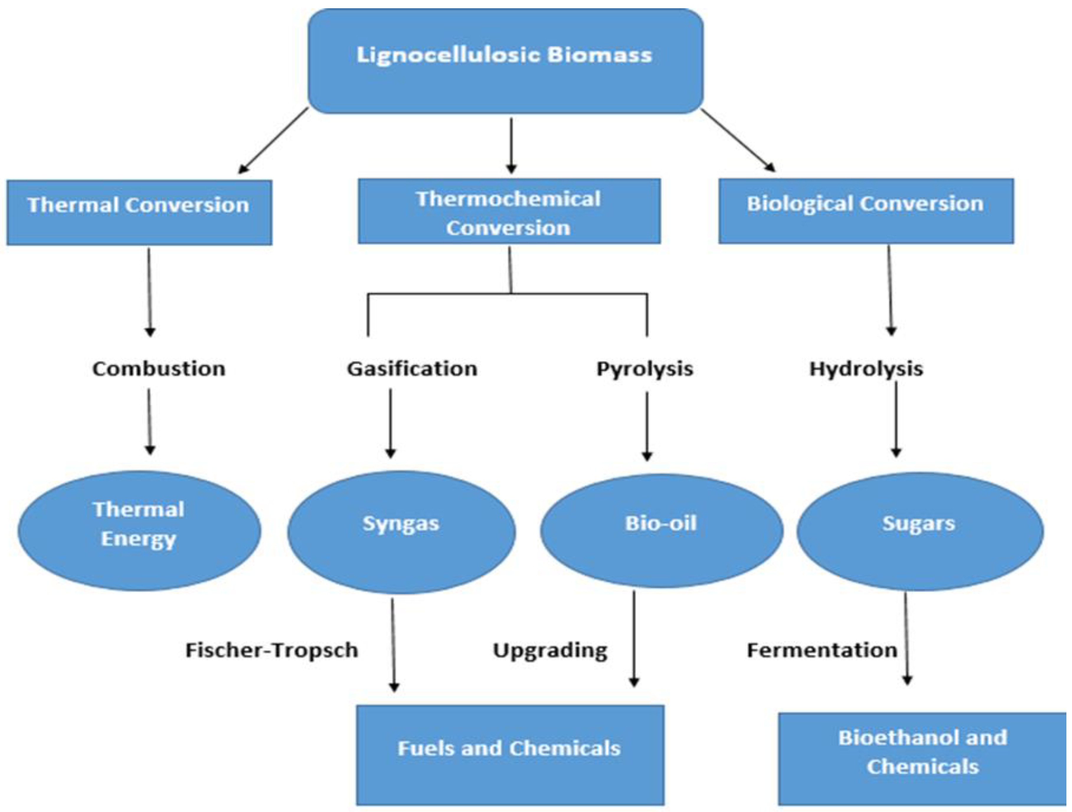 Catalysts 11 00309 g002
