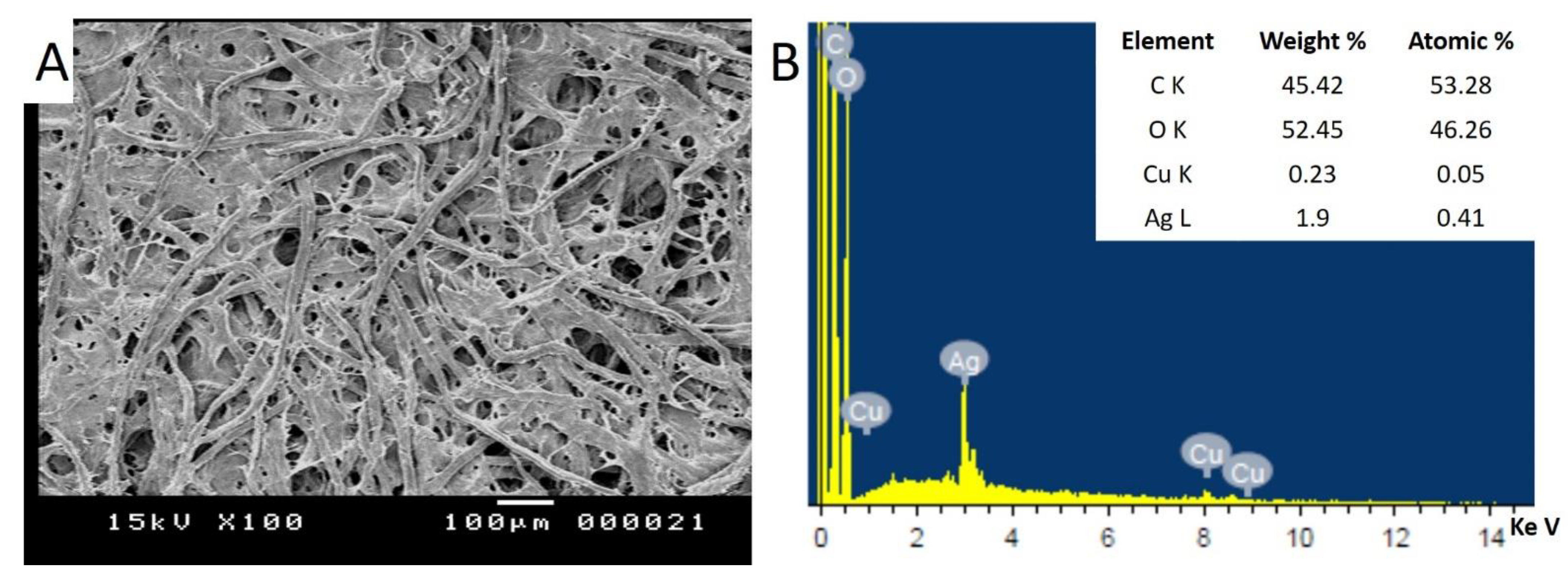 Catalysts 11 00310 g002