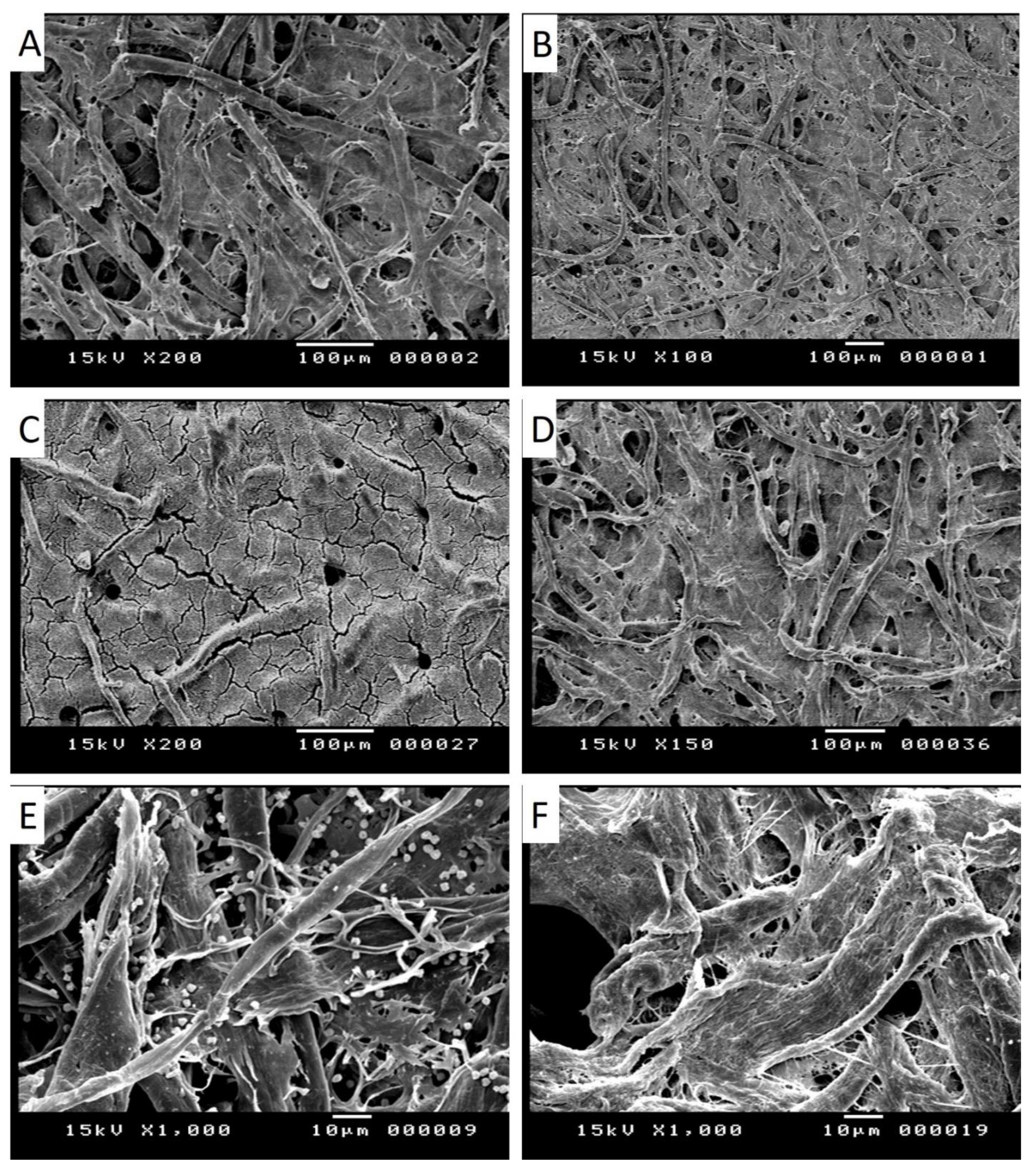 Catalysts 11 00310 g005