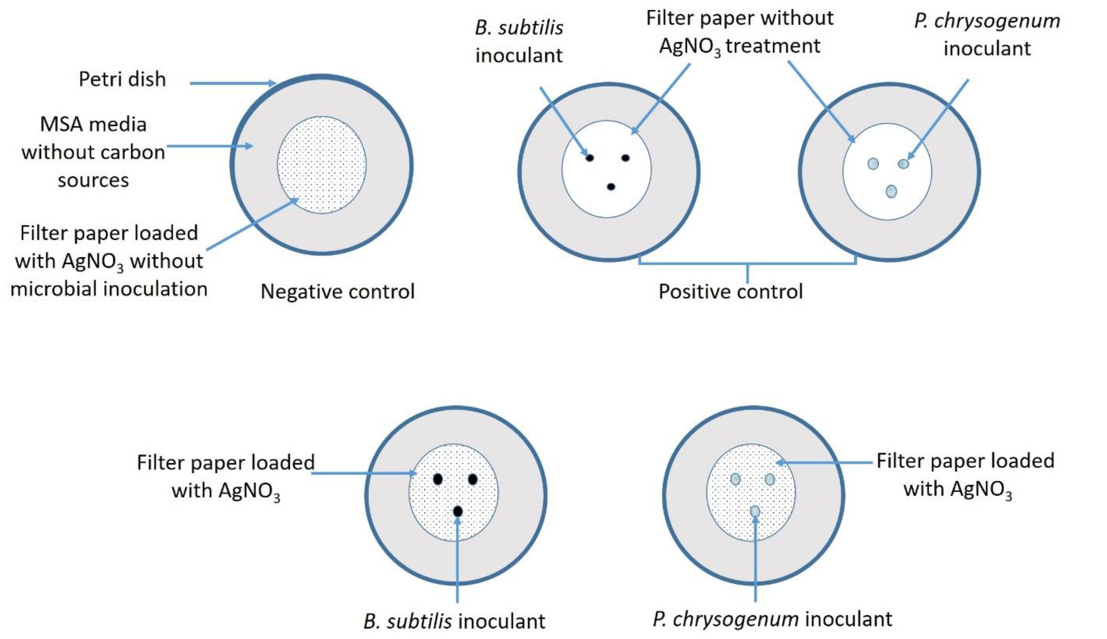 Catalysts 11 00310 g006