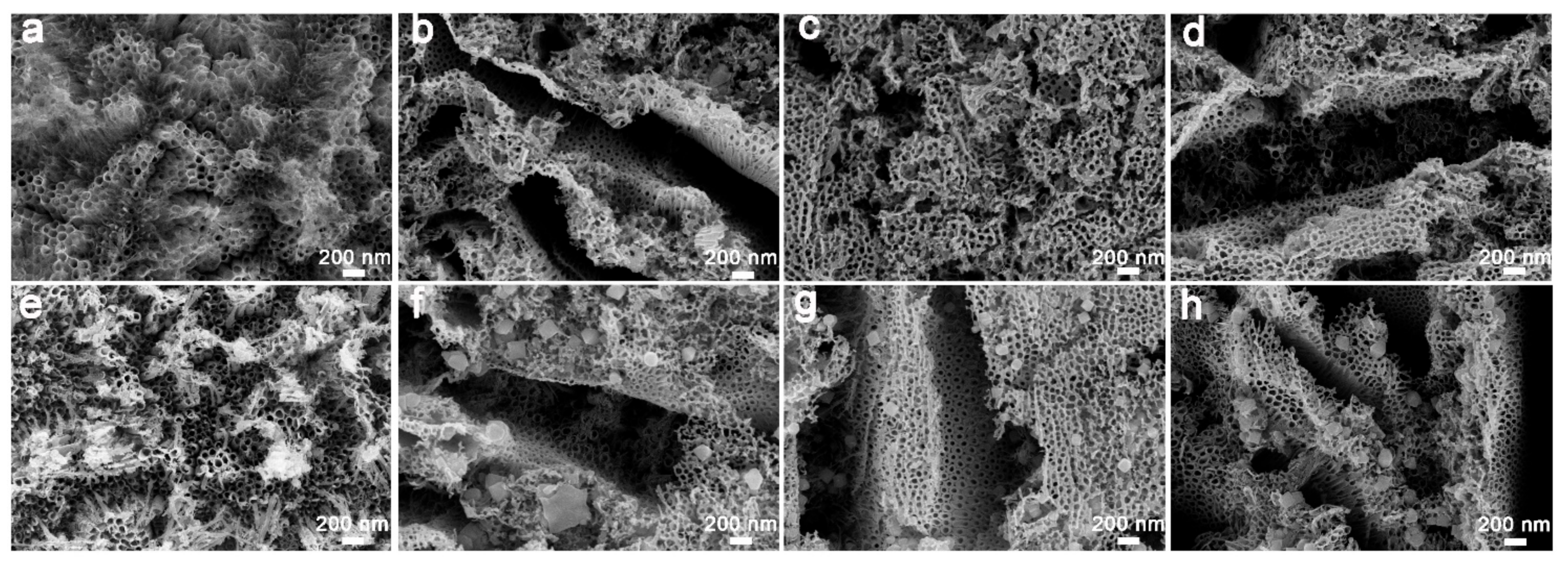 Catalysts 11 00327 g004 Catalysts 11 00327 g004
