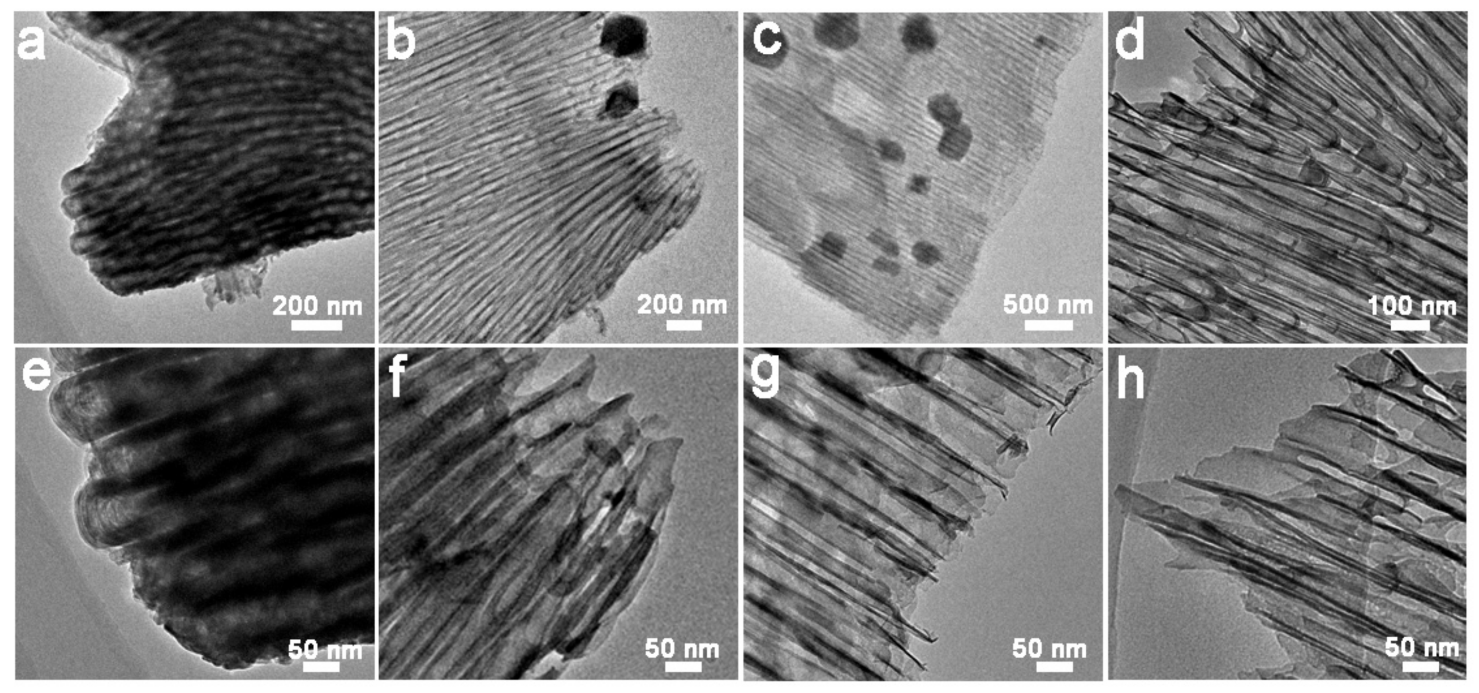 Catalysts 11 00327 g005 Catalysts 11 00327 g005