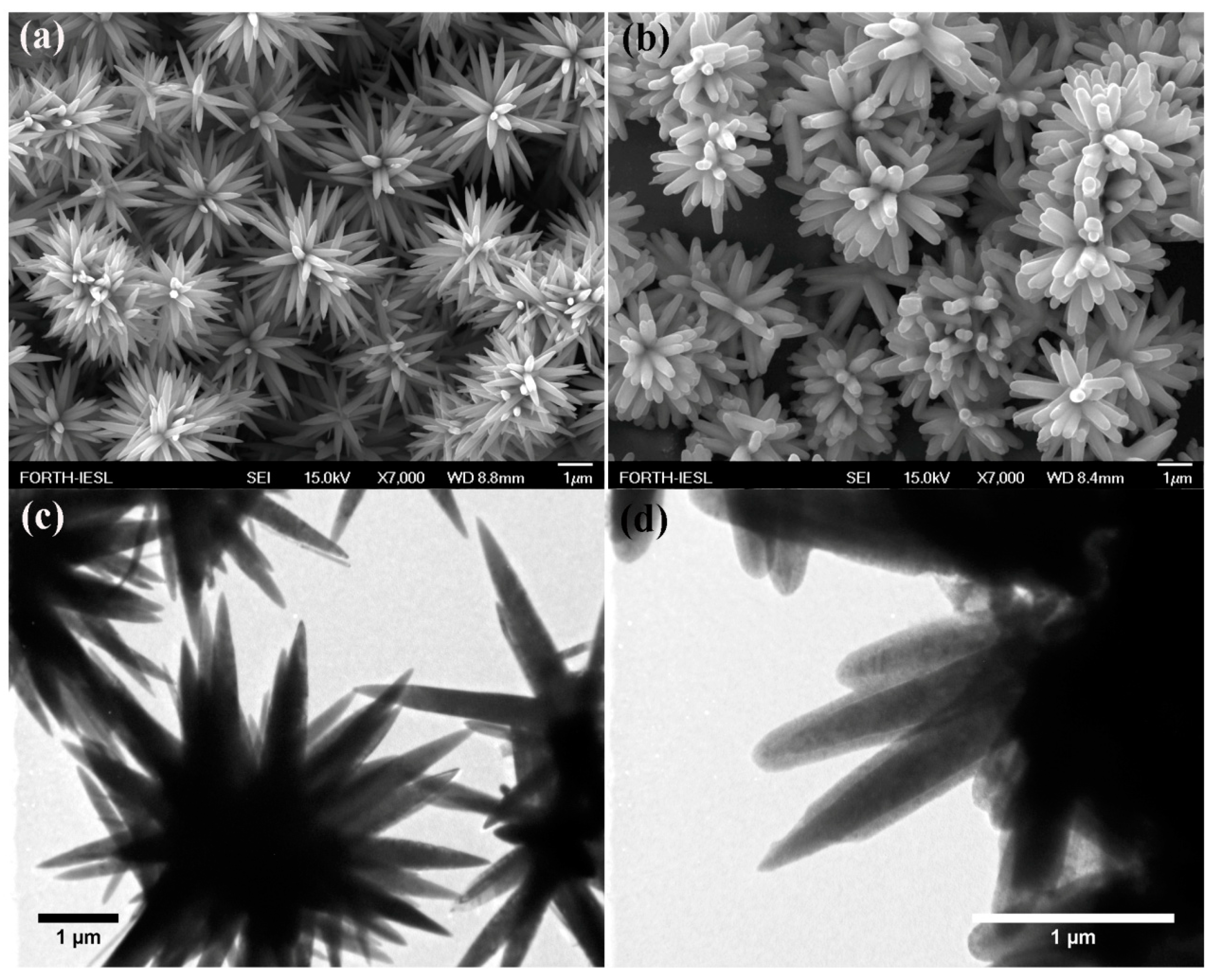 Catalysts 11 00332 g002 Catalysts 11 00332 g002