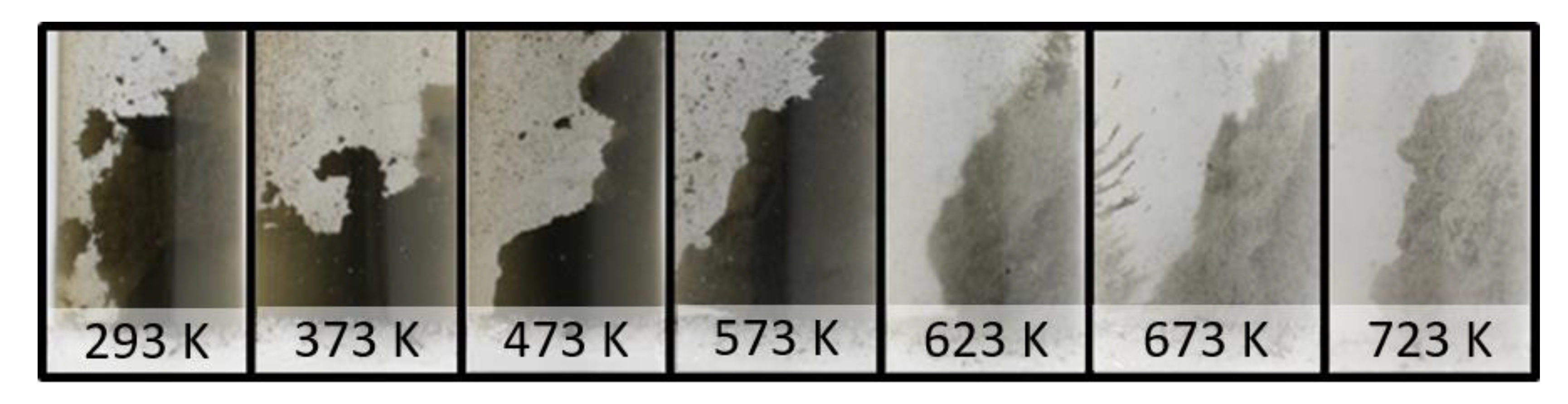 Catalysts 11 00334 g004