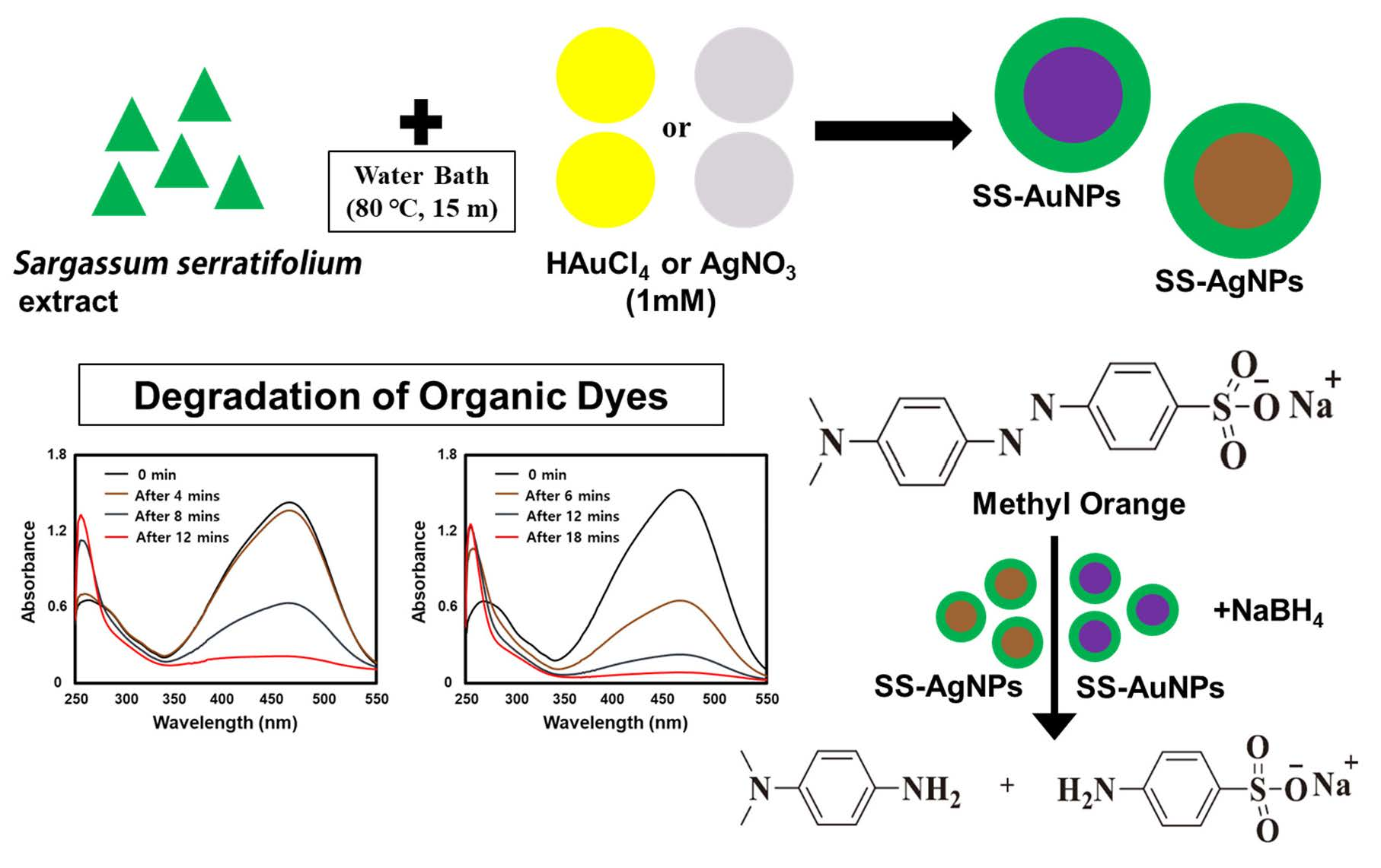 Catalysts Free FullText Green Synthesis of Silver and Gold