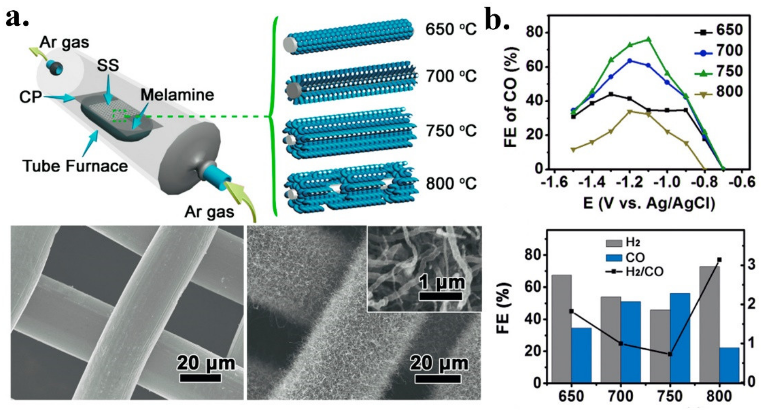 Catalysts 11 00351 g005 Catalysts 11 00351 g005