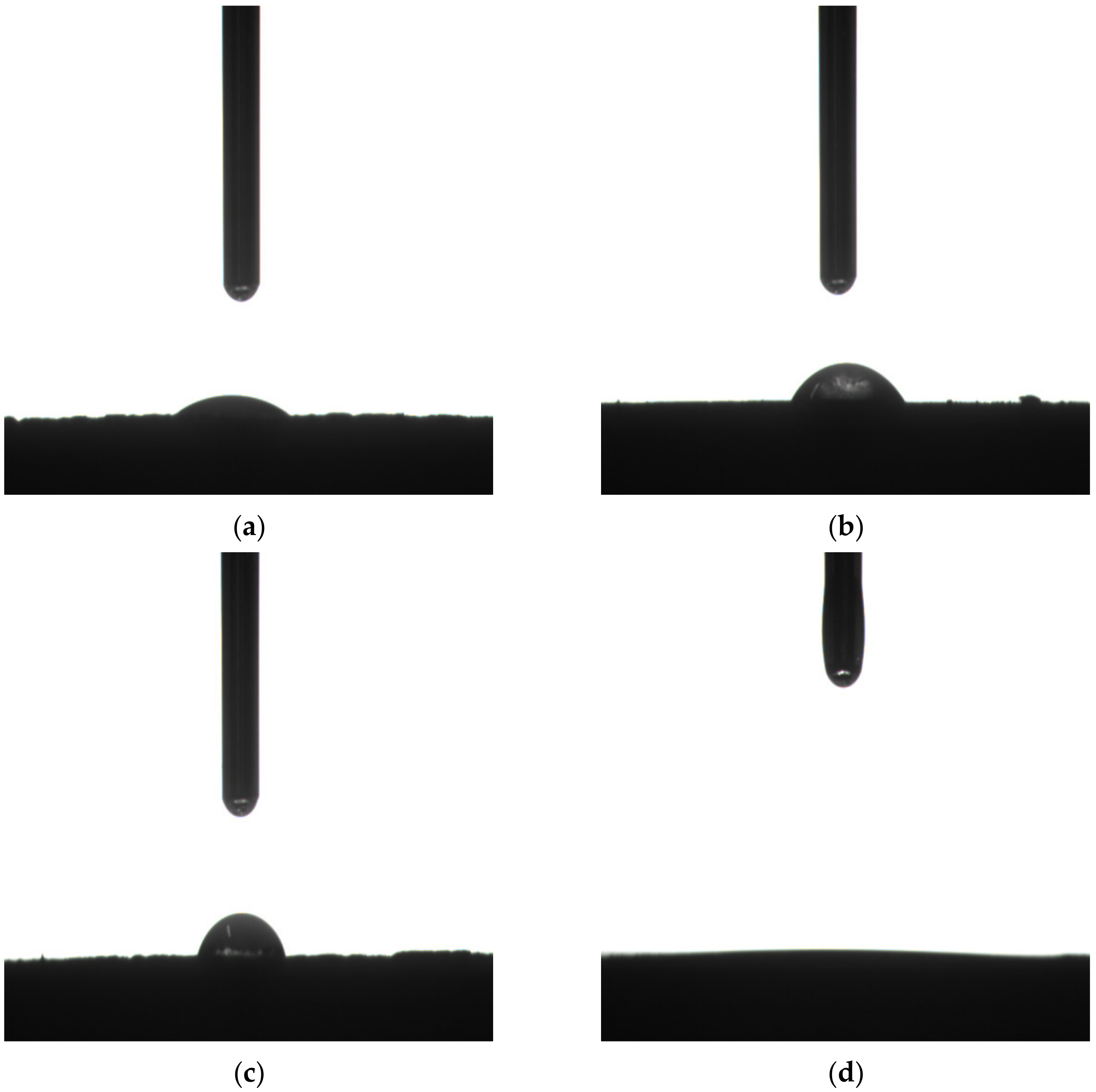 Catalysts 11 00356 g003
